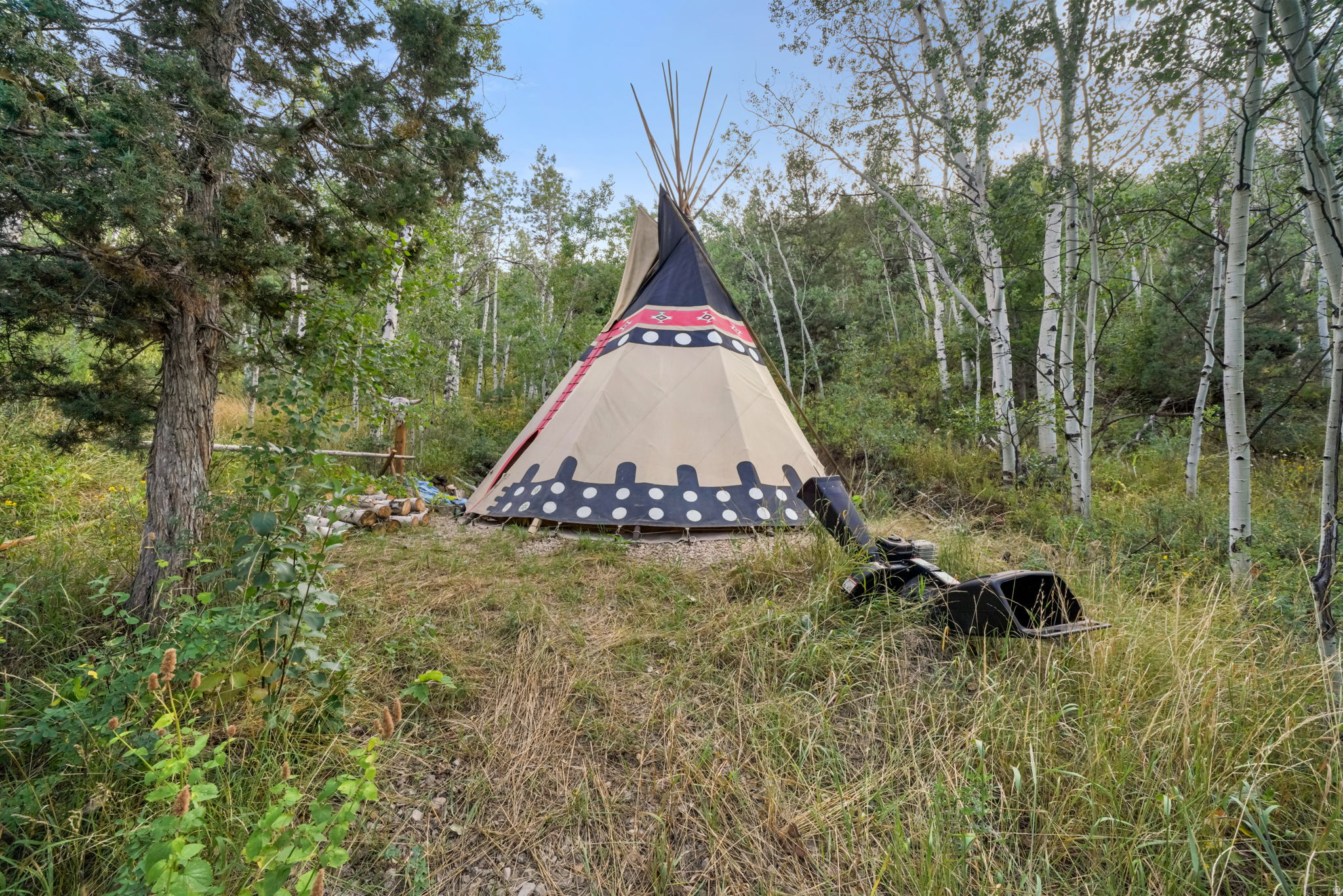 main property photo 56