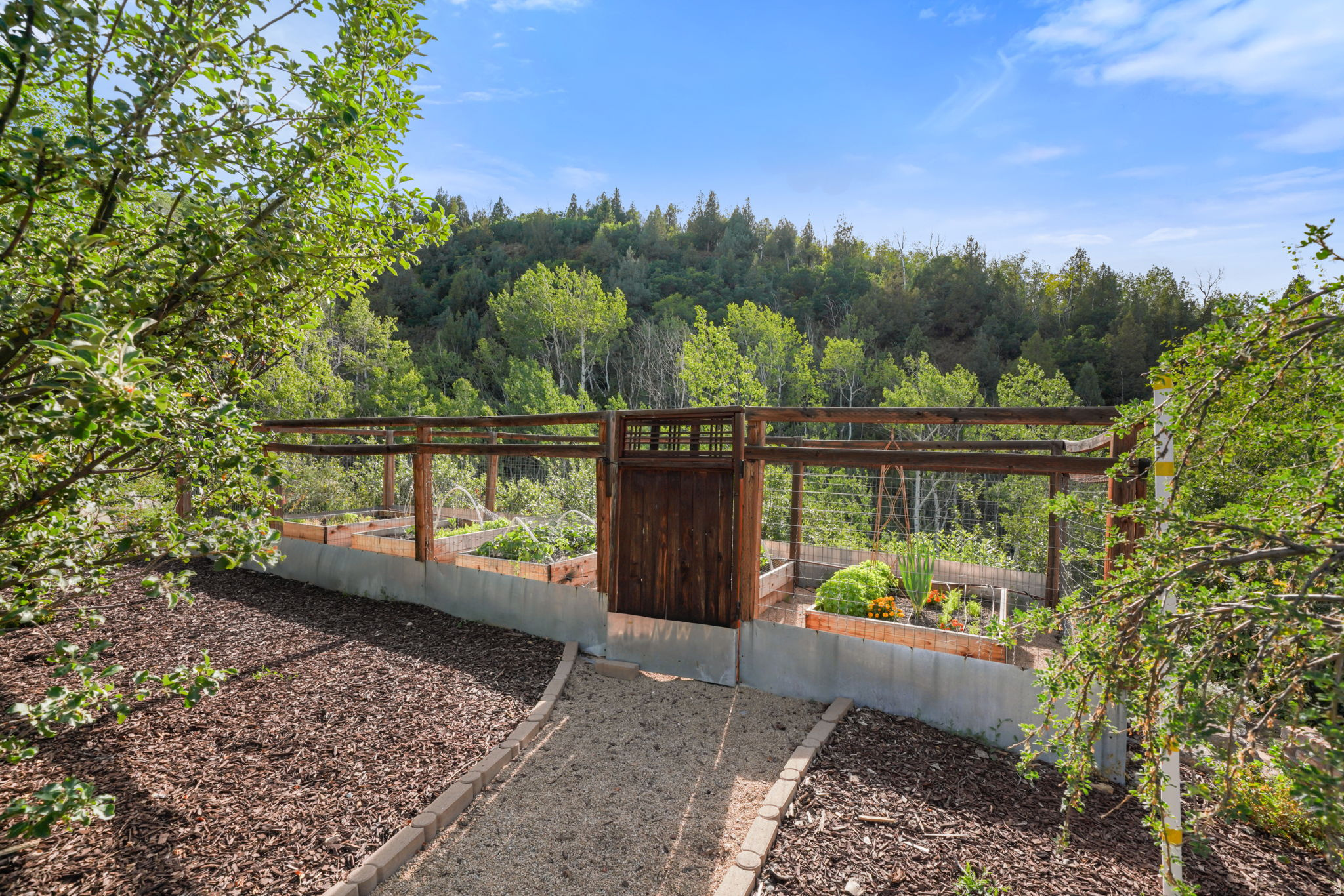 main property photo 60