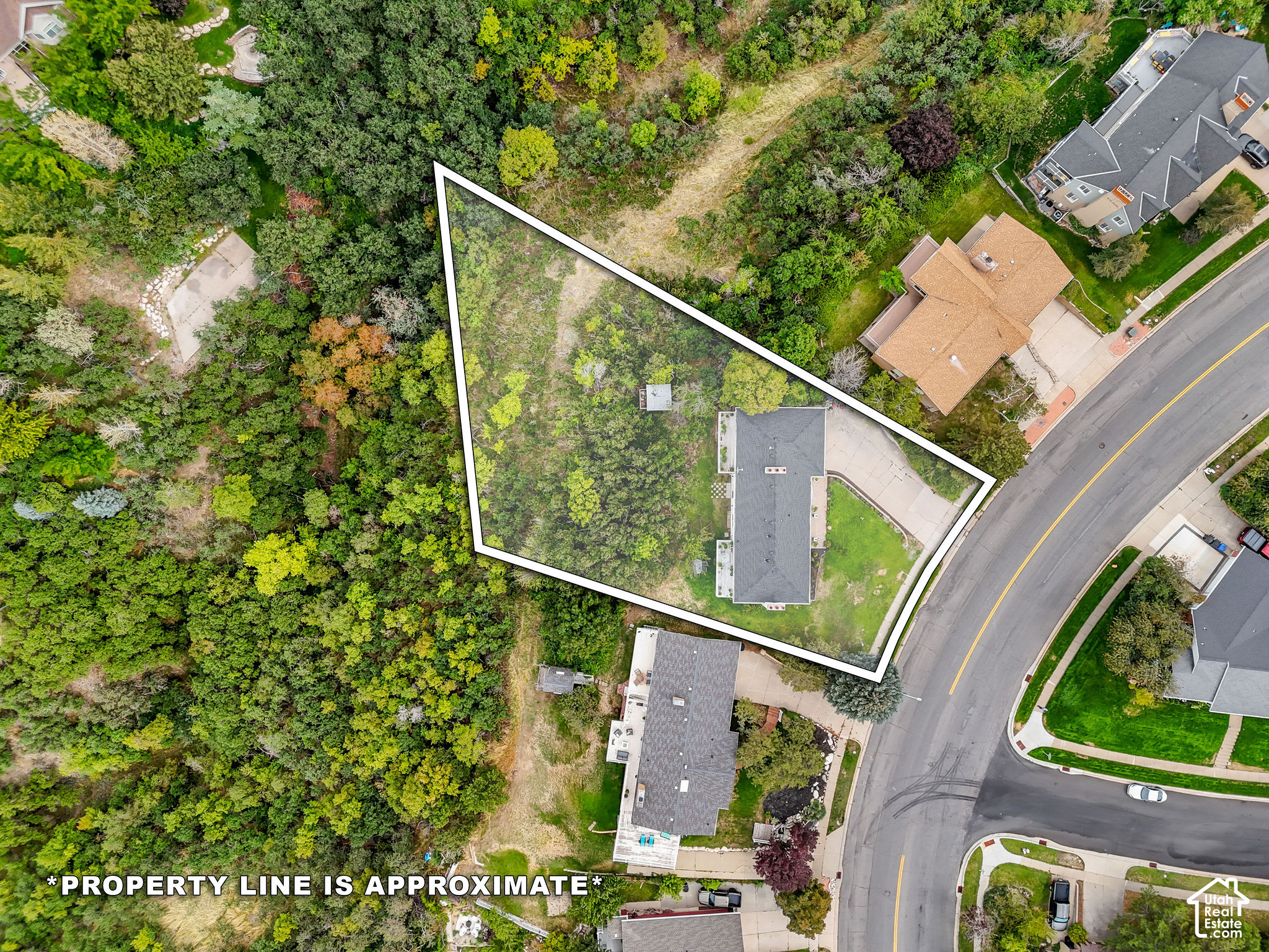 main property photo 41
