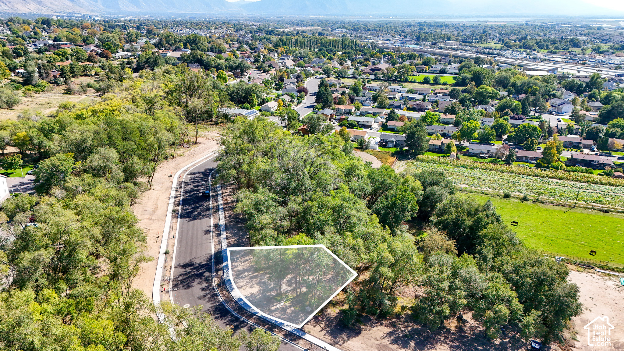 main property photo 14