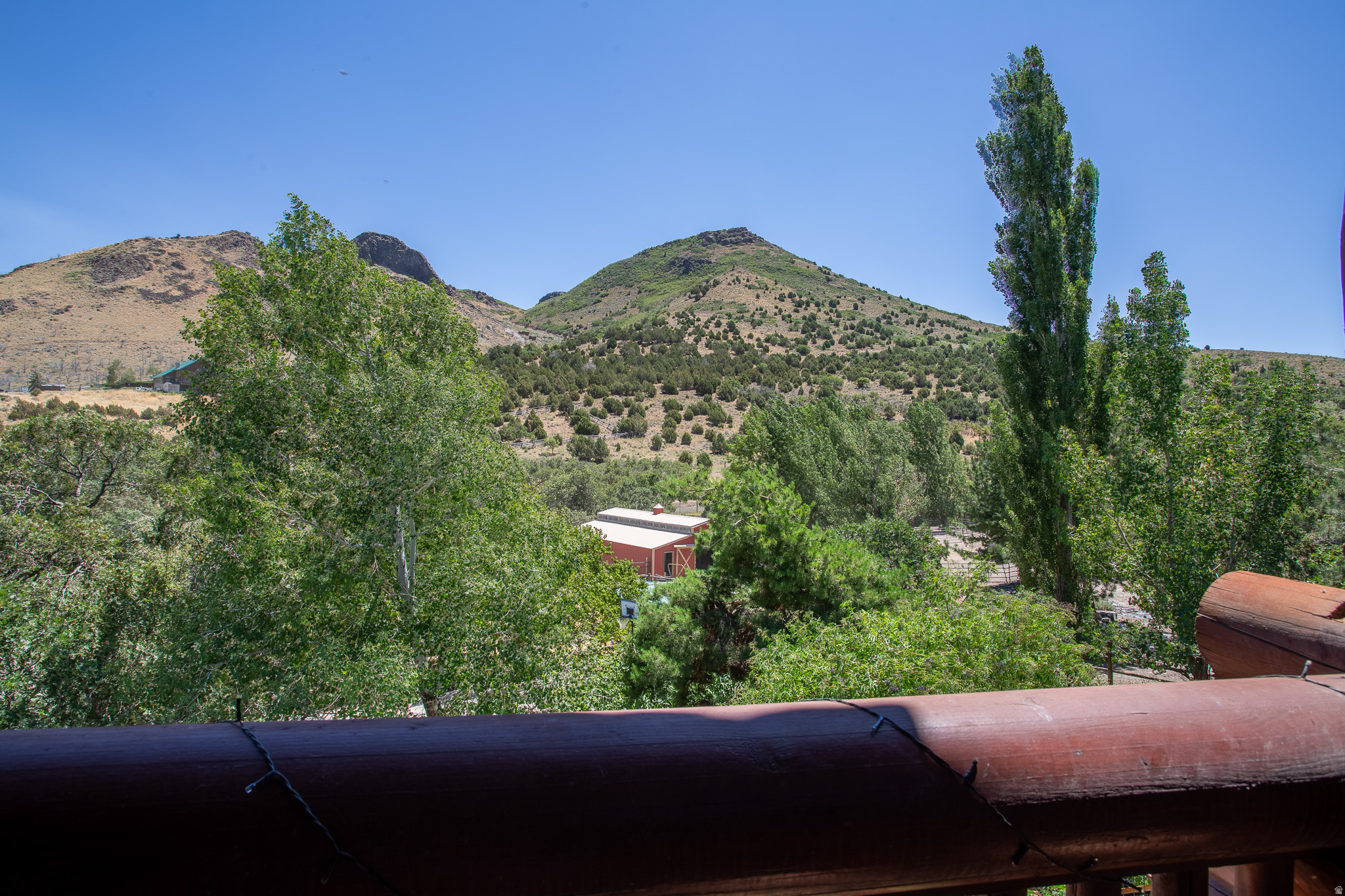 main property photo 59