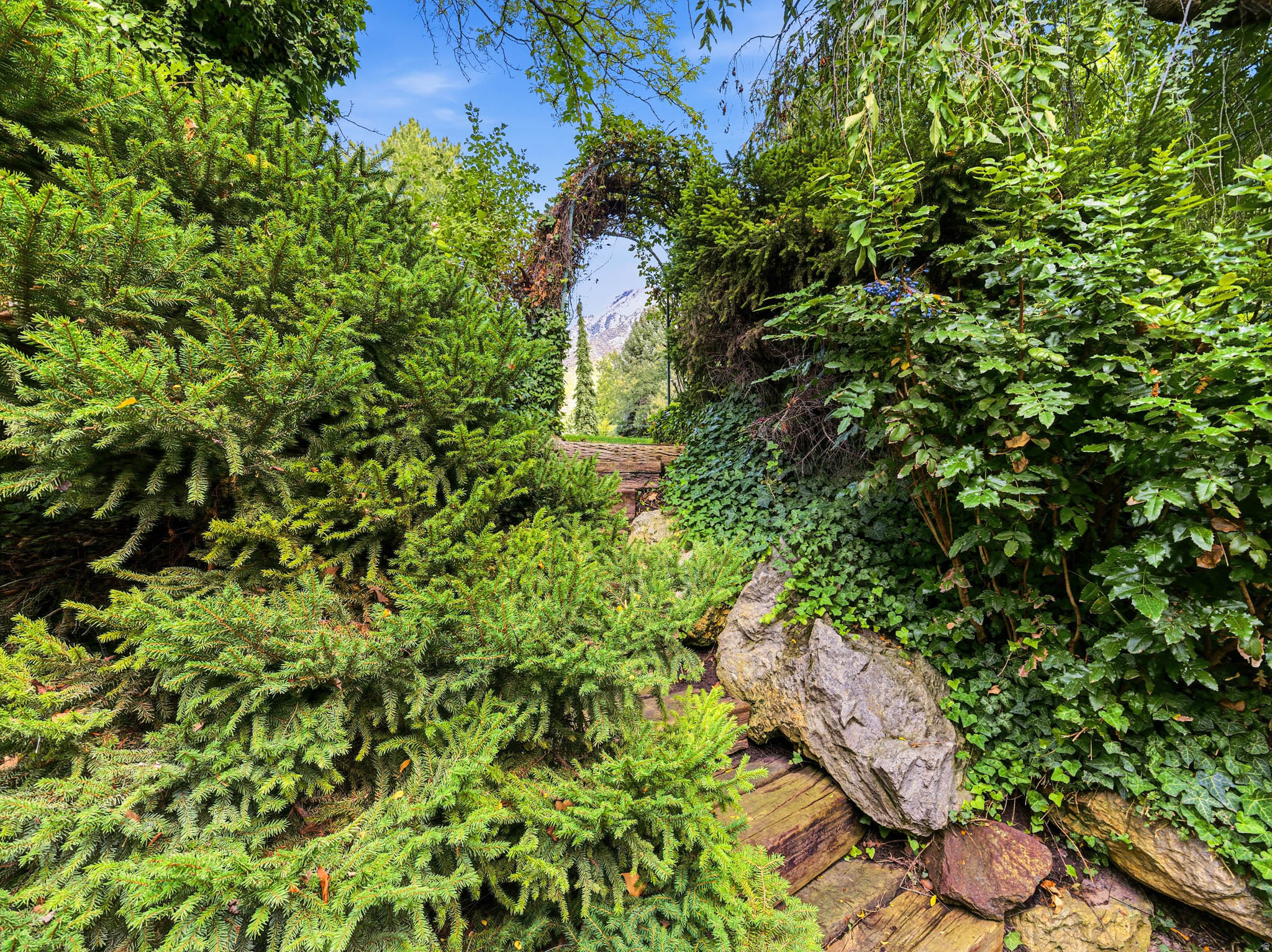 main property photo 10