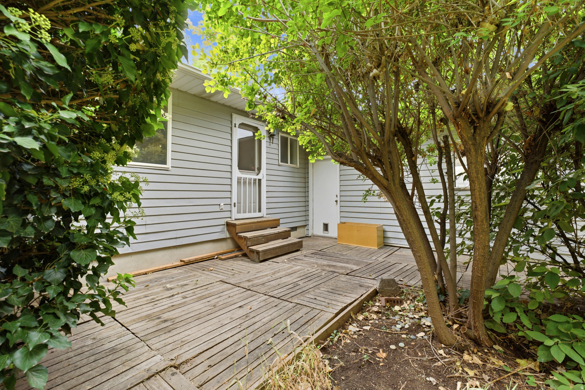 main property photo 54