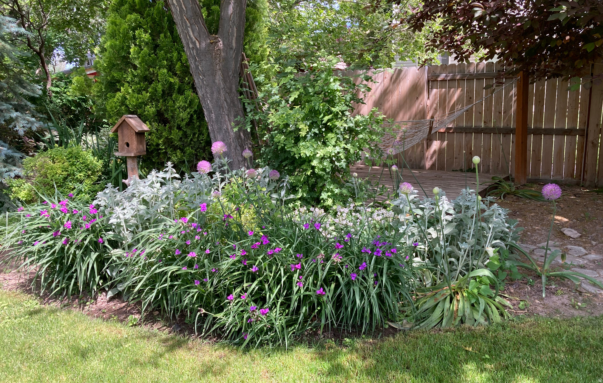 main property photo 63