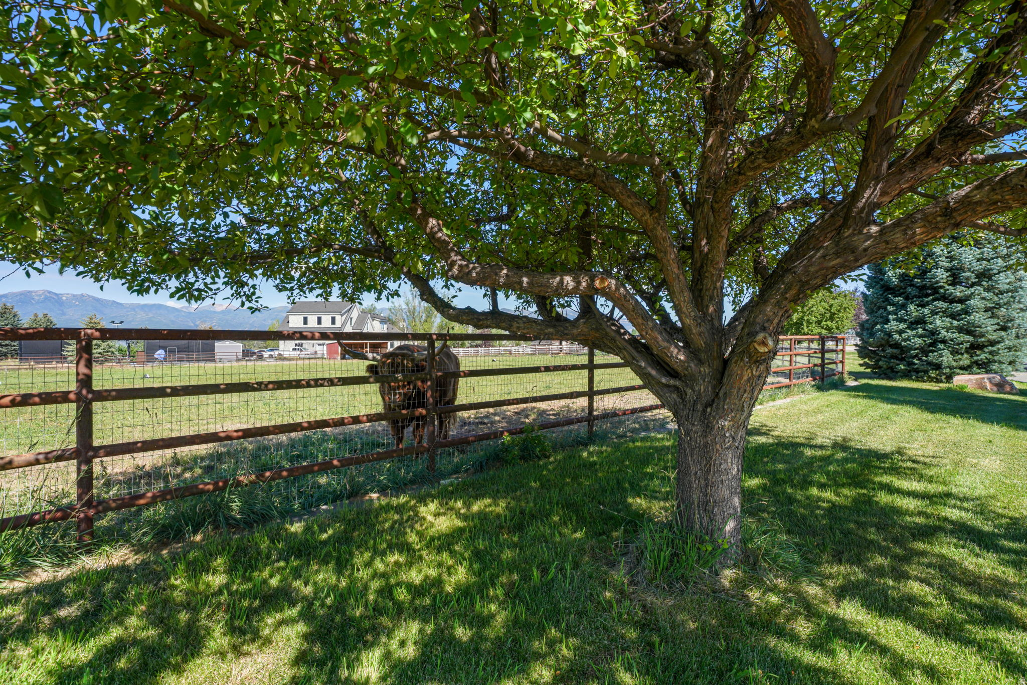 main property photo 80