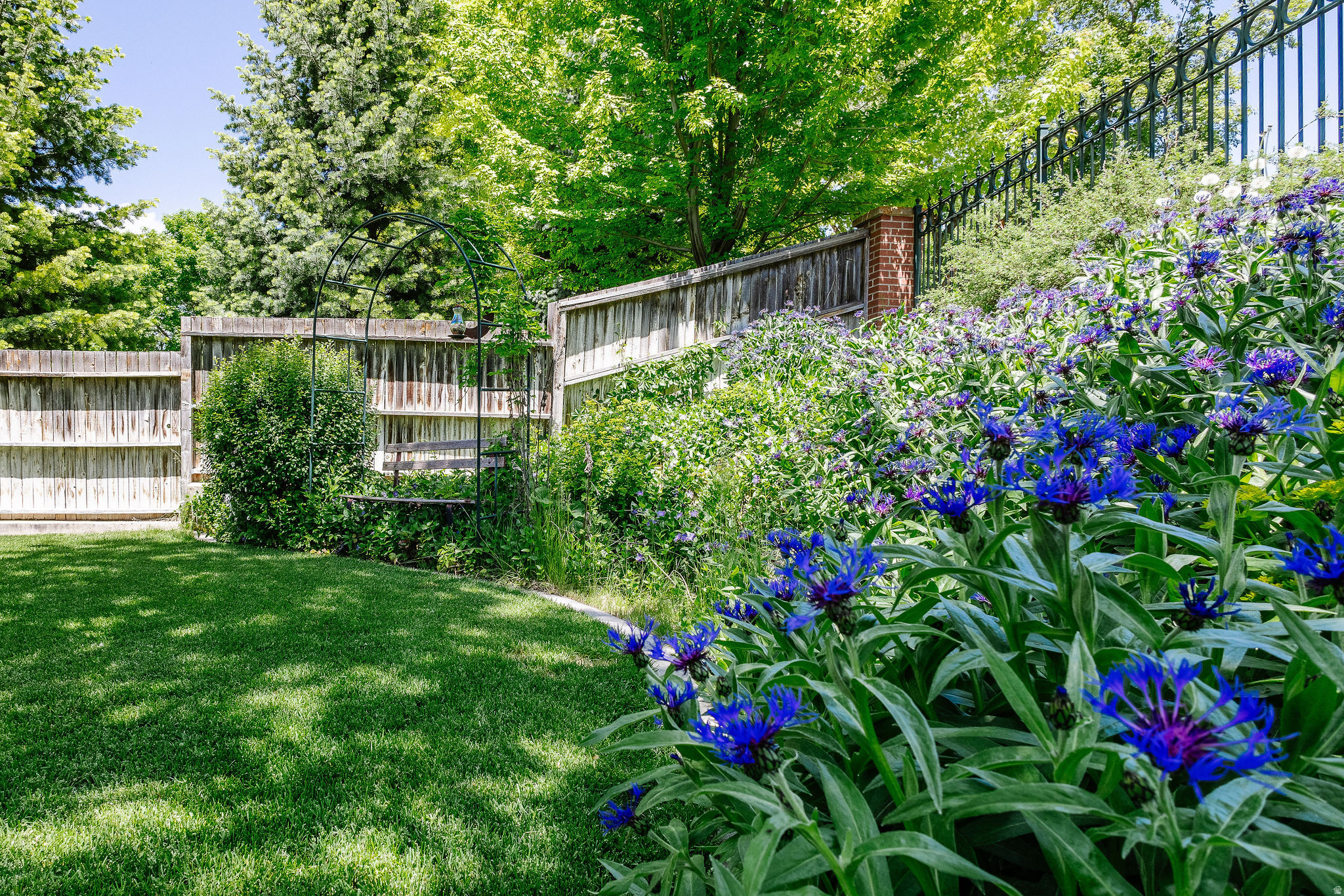 main property photo 97