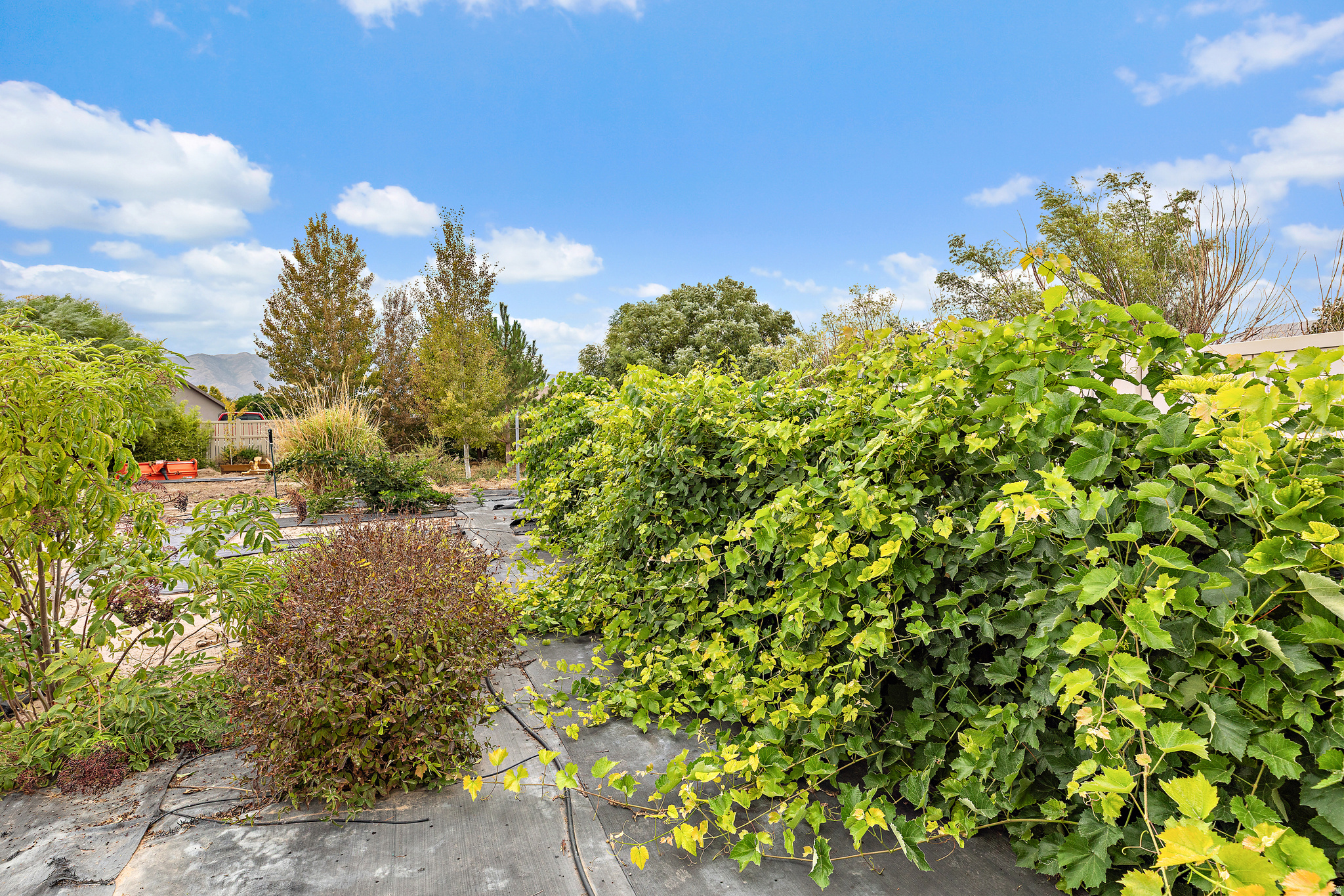 main property photo 55