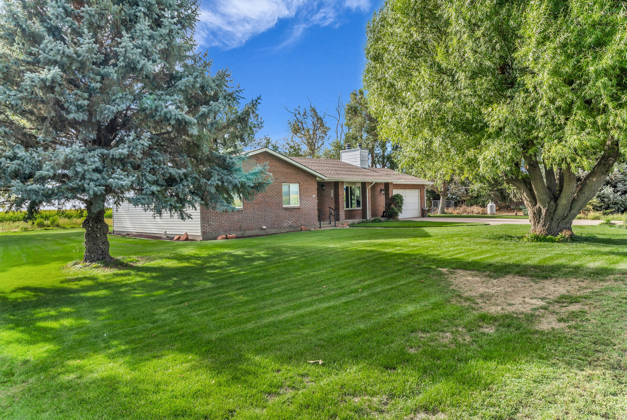main property photo 54