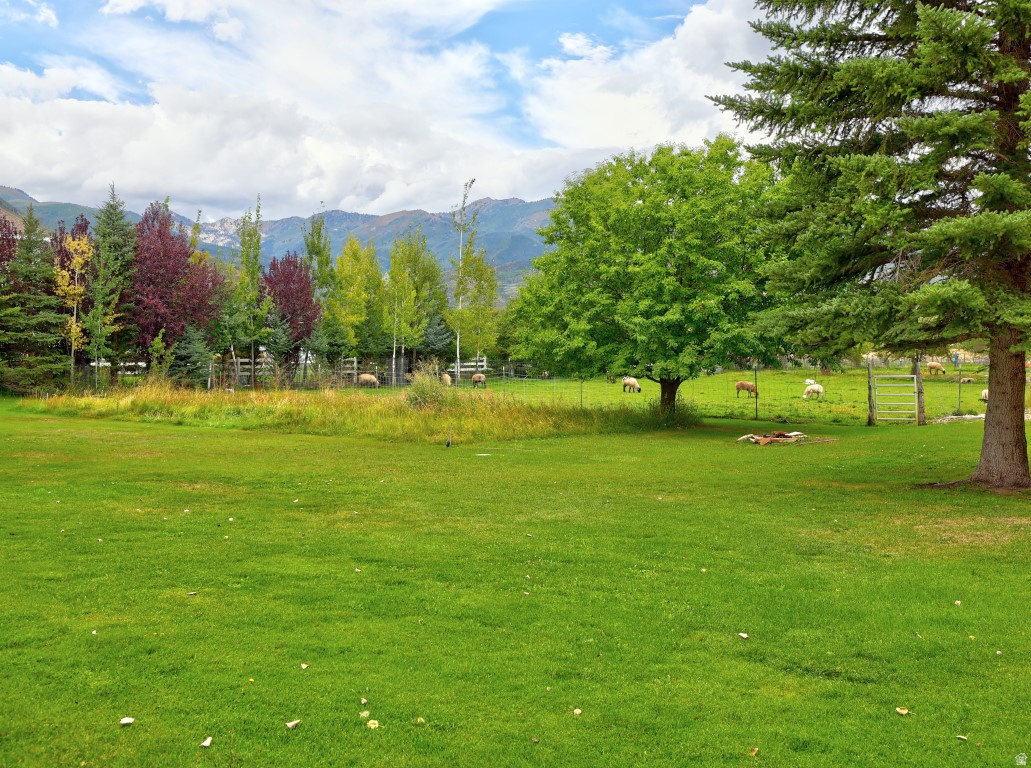 main property photo 66