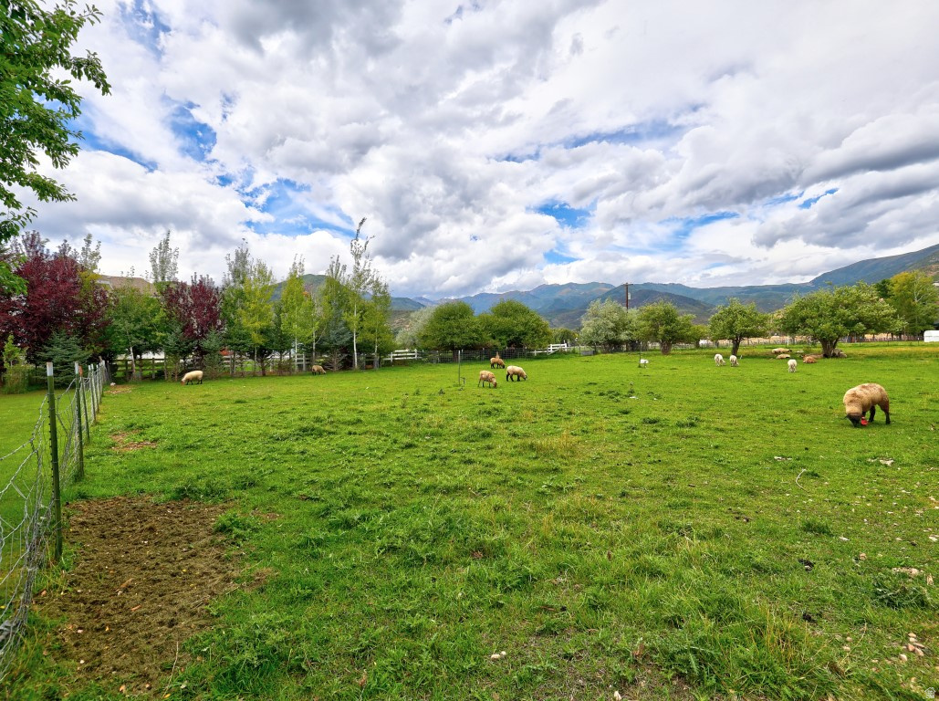main property photo 83