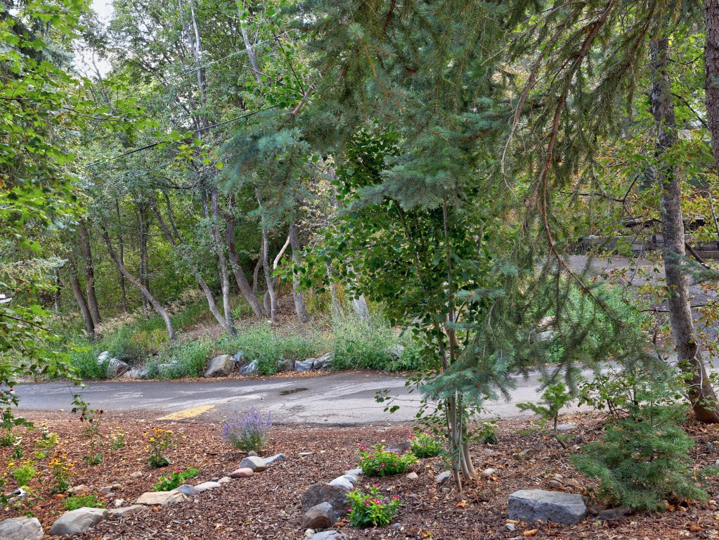 main property photo 65