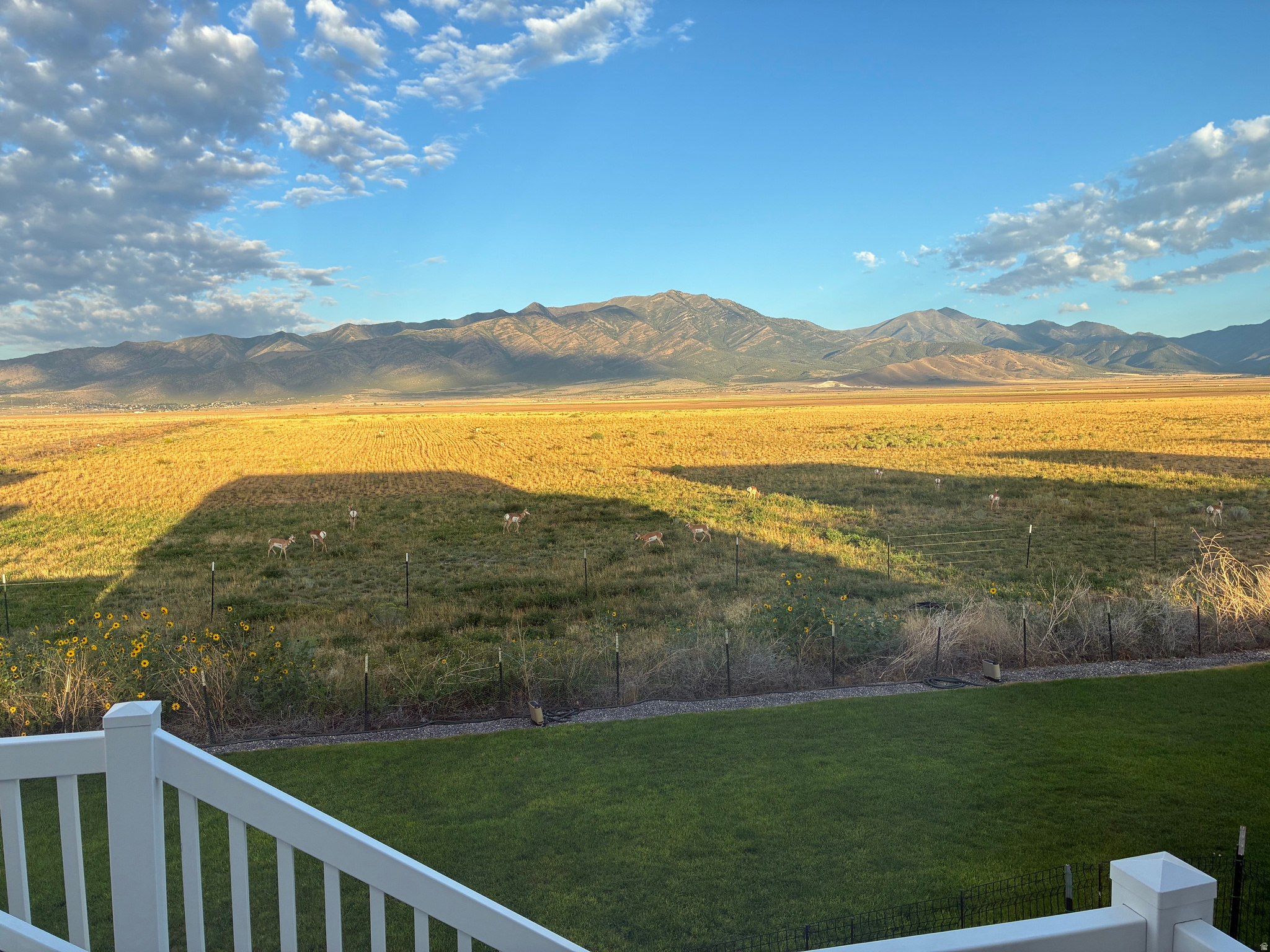 main property photo 50