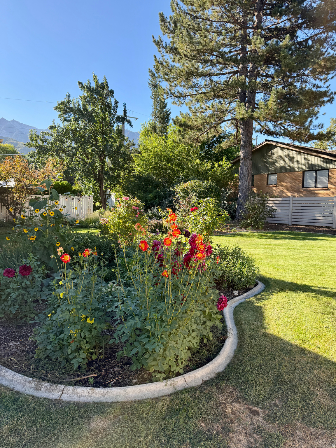 main property photo 58