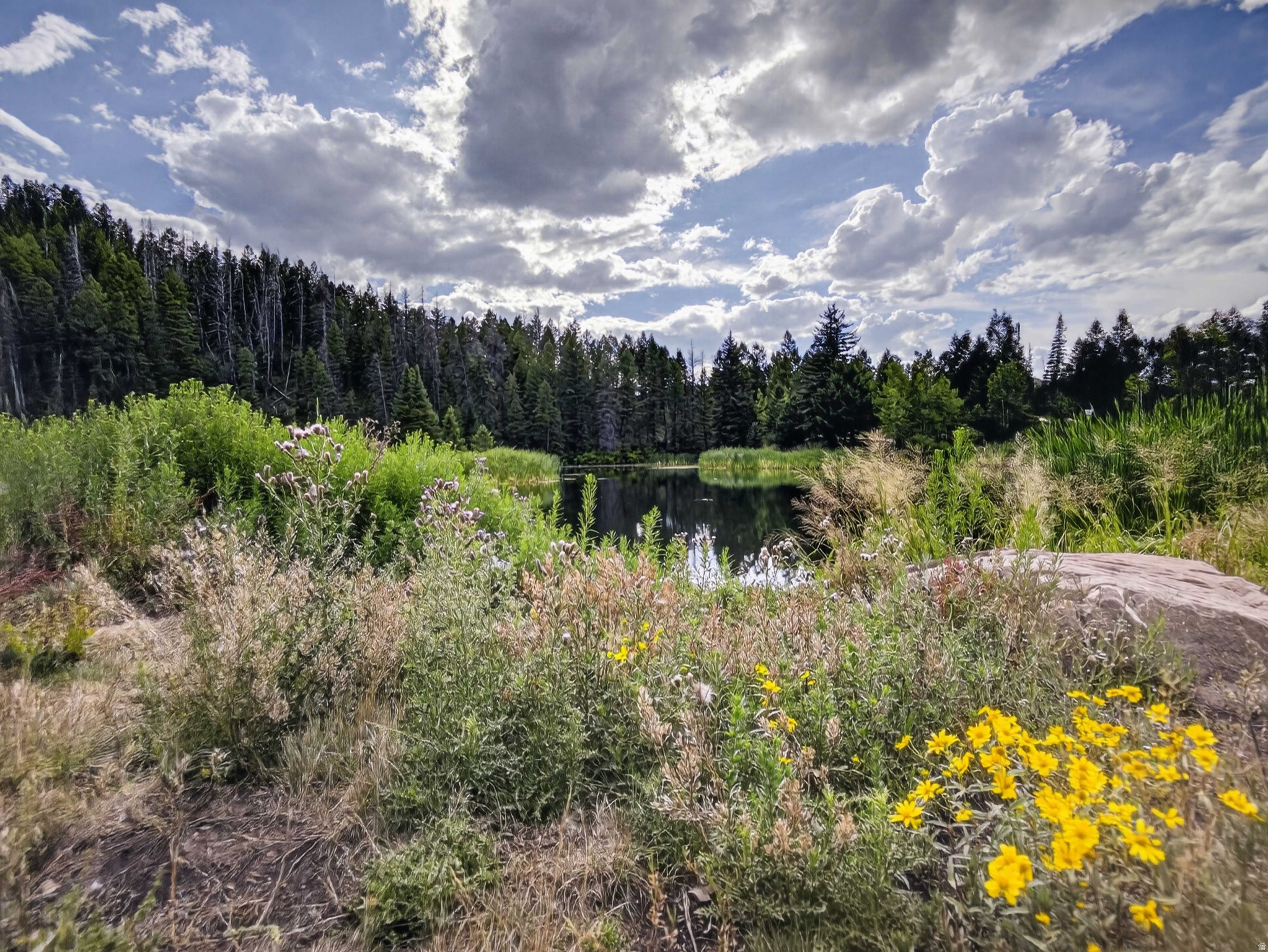 main property photo 42