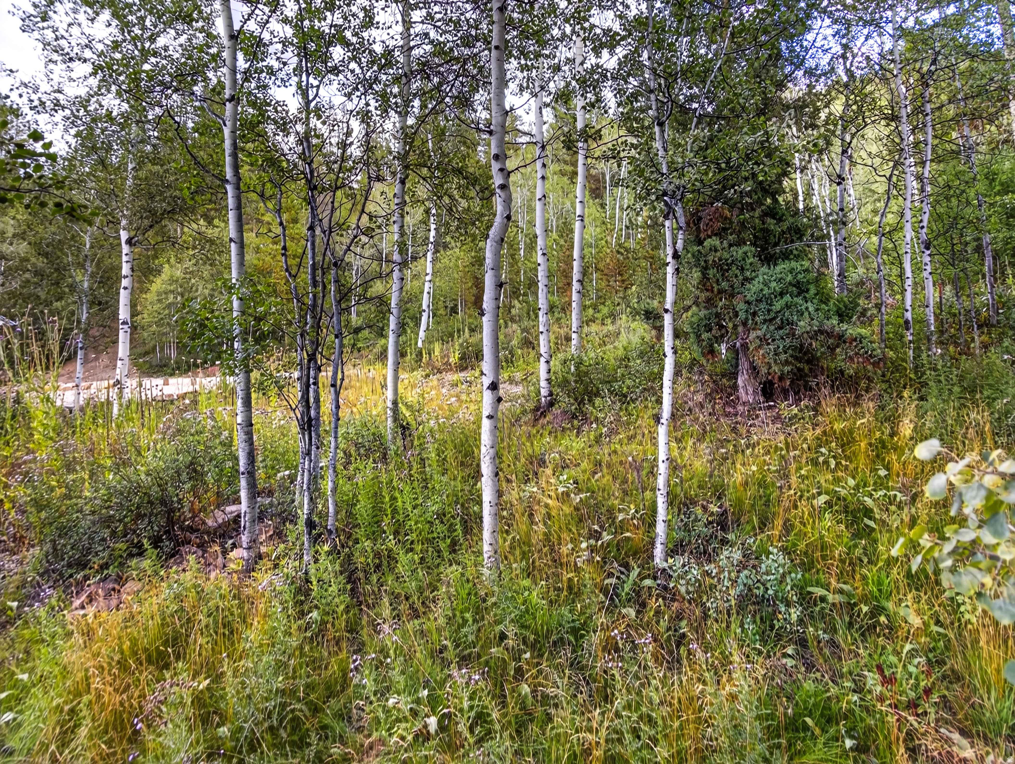 main property photo 43