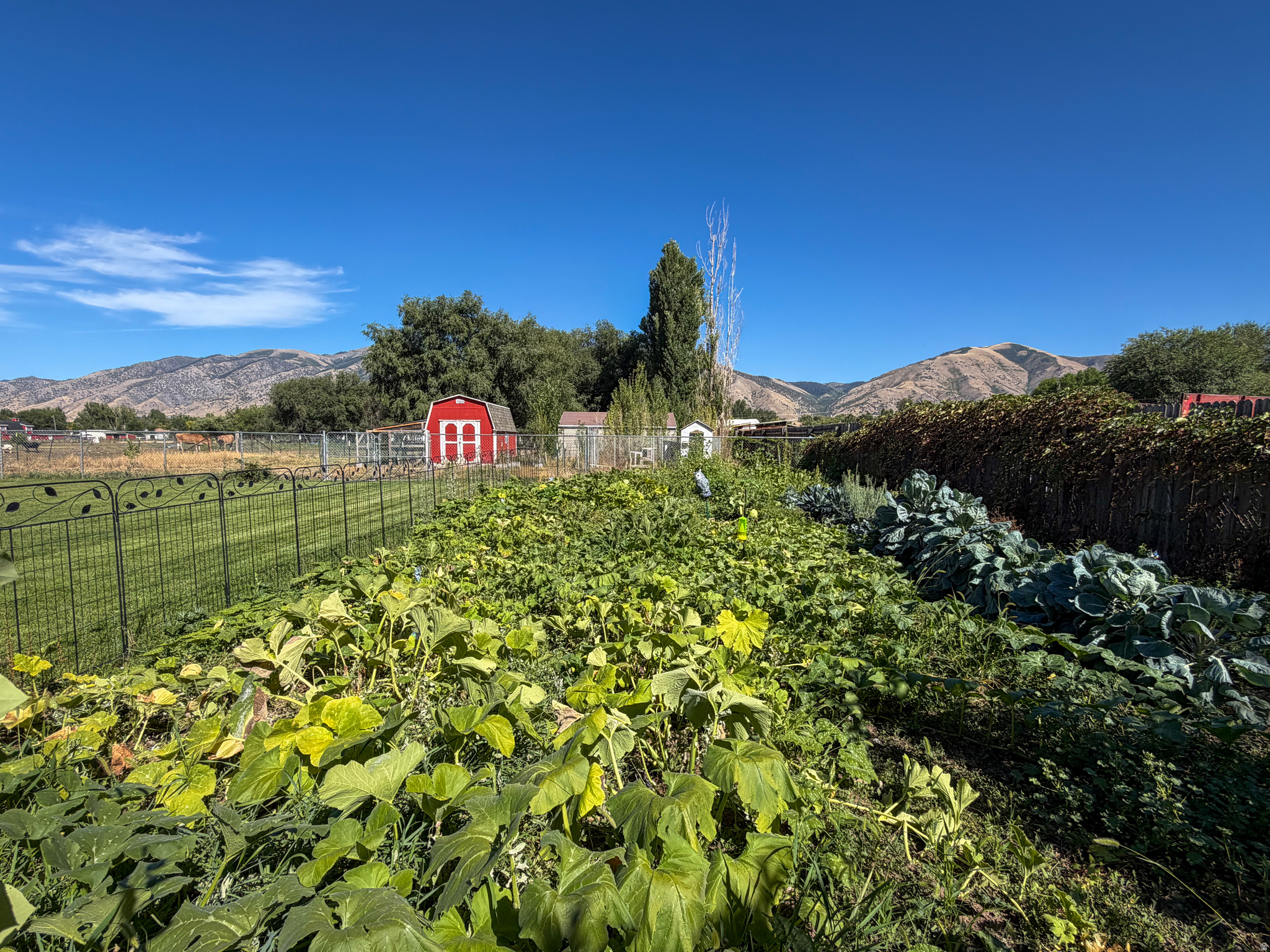 main property photo 30