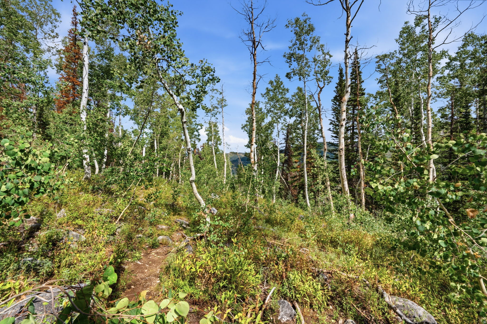 main property photo 20