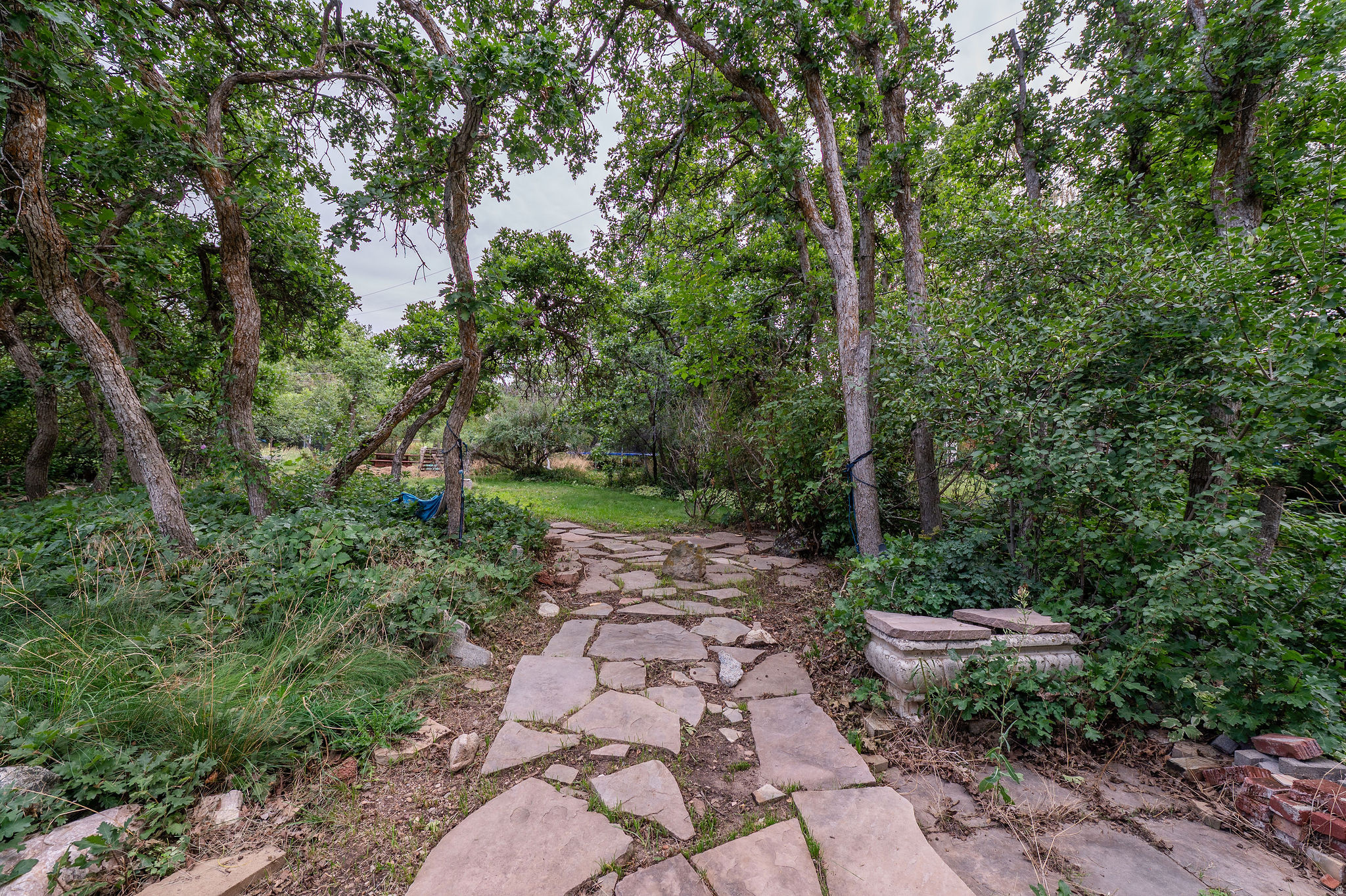 main property photo 39