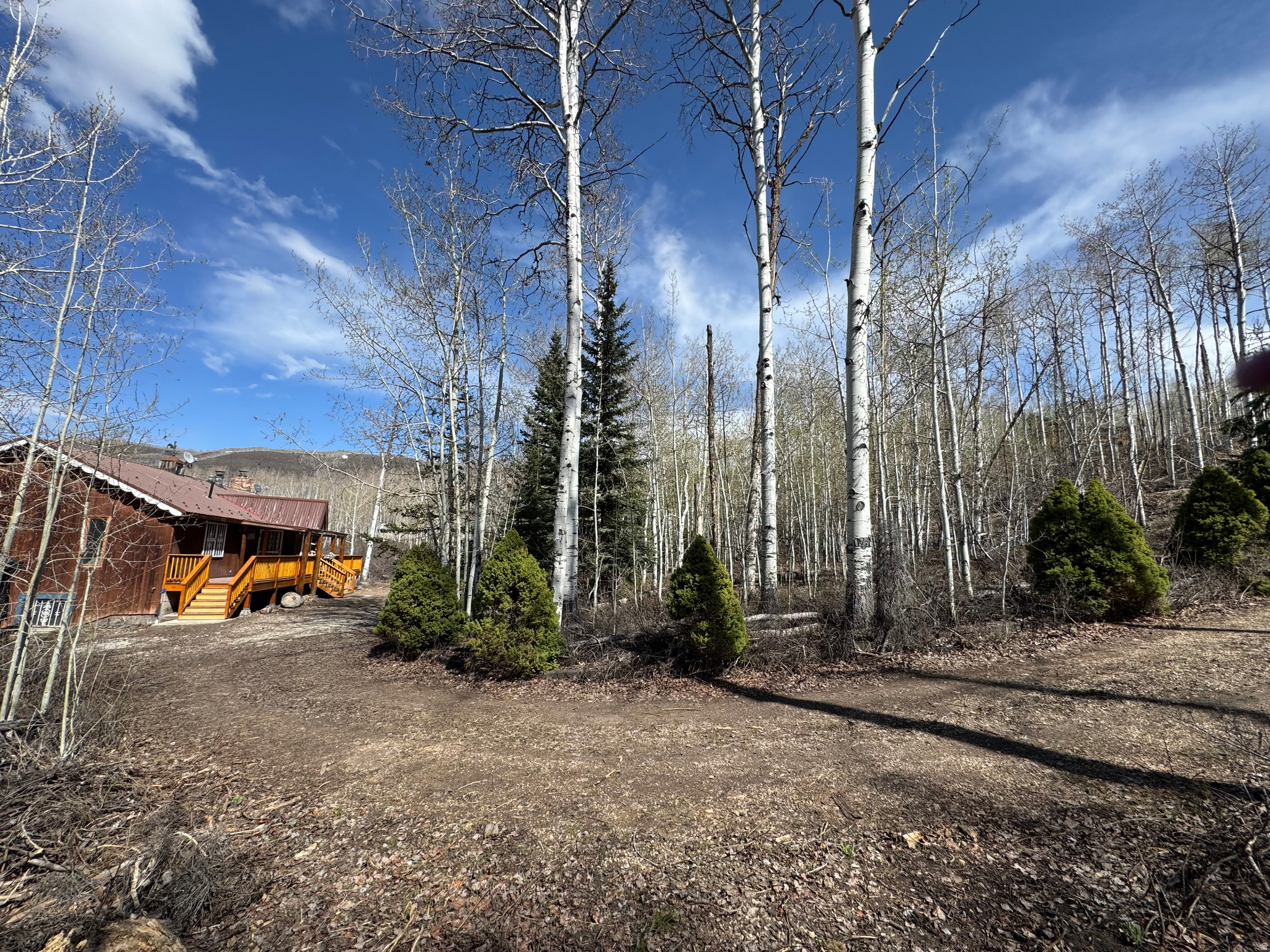 main property photo 4