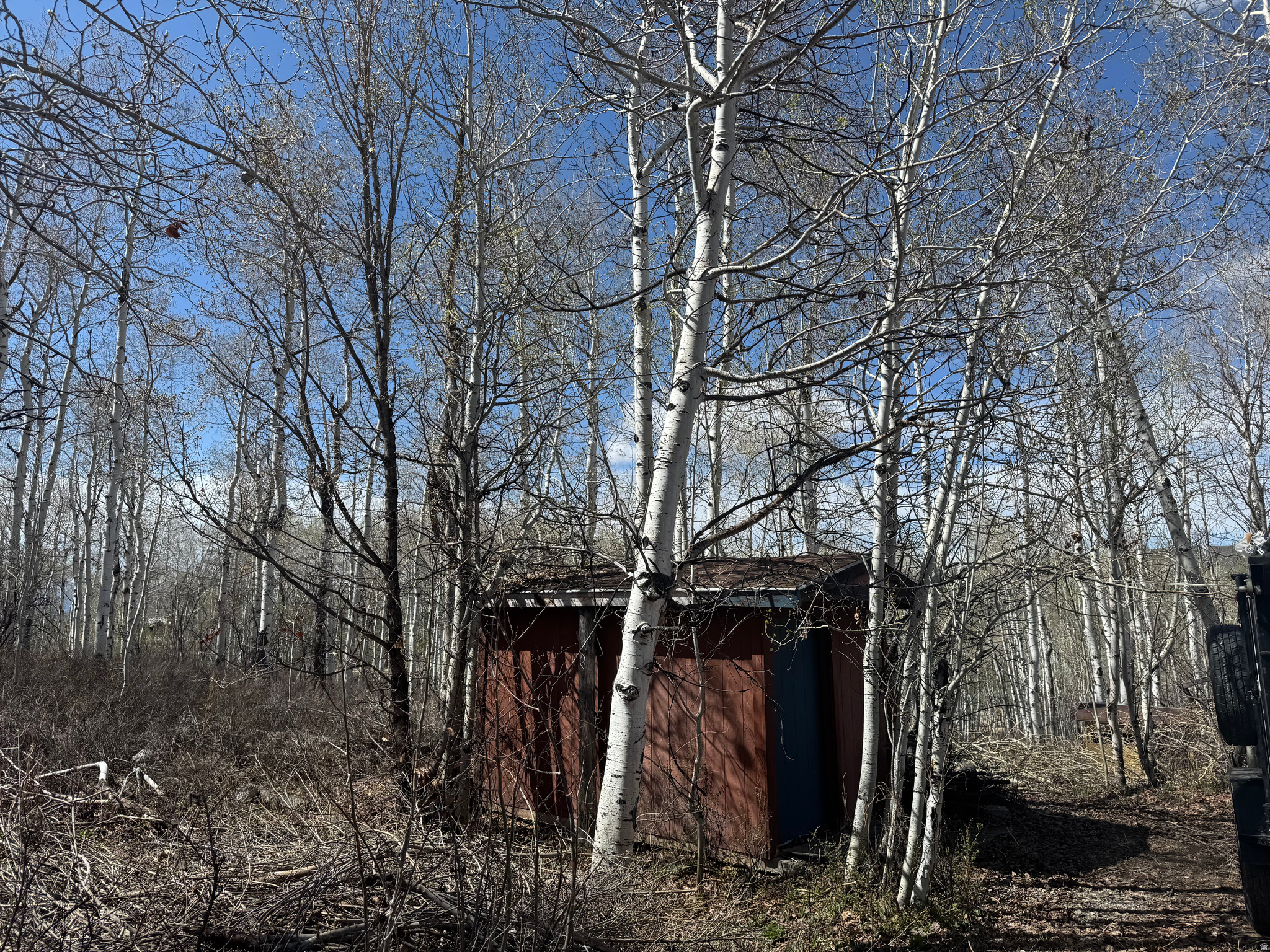 main property photo 6