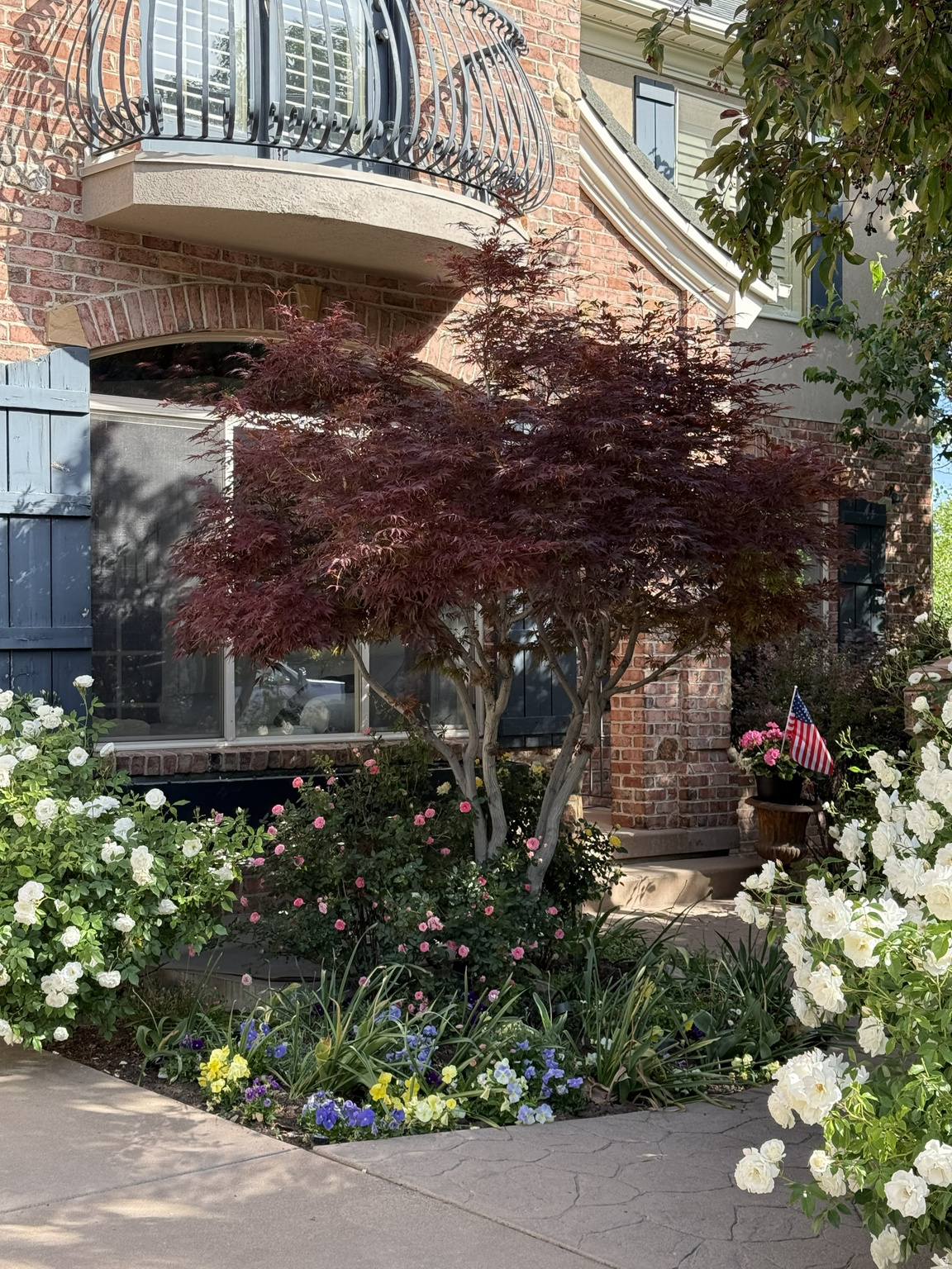 main property photo 54