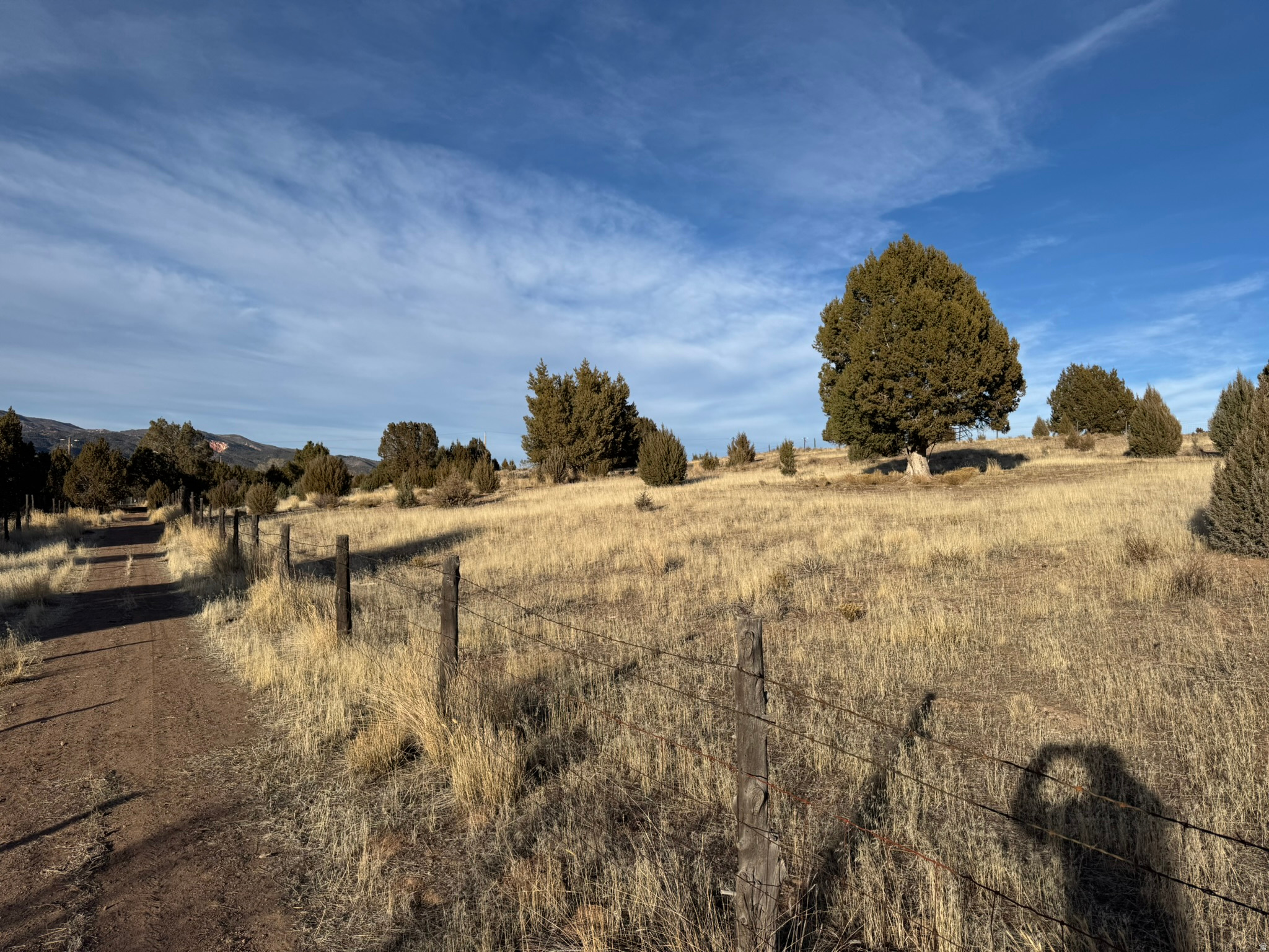 main property photo 55