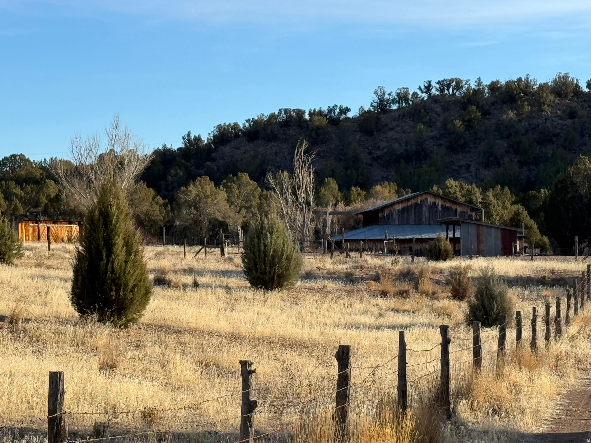 main property photo 58