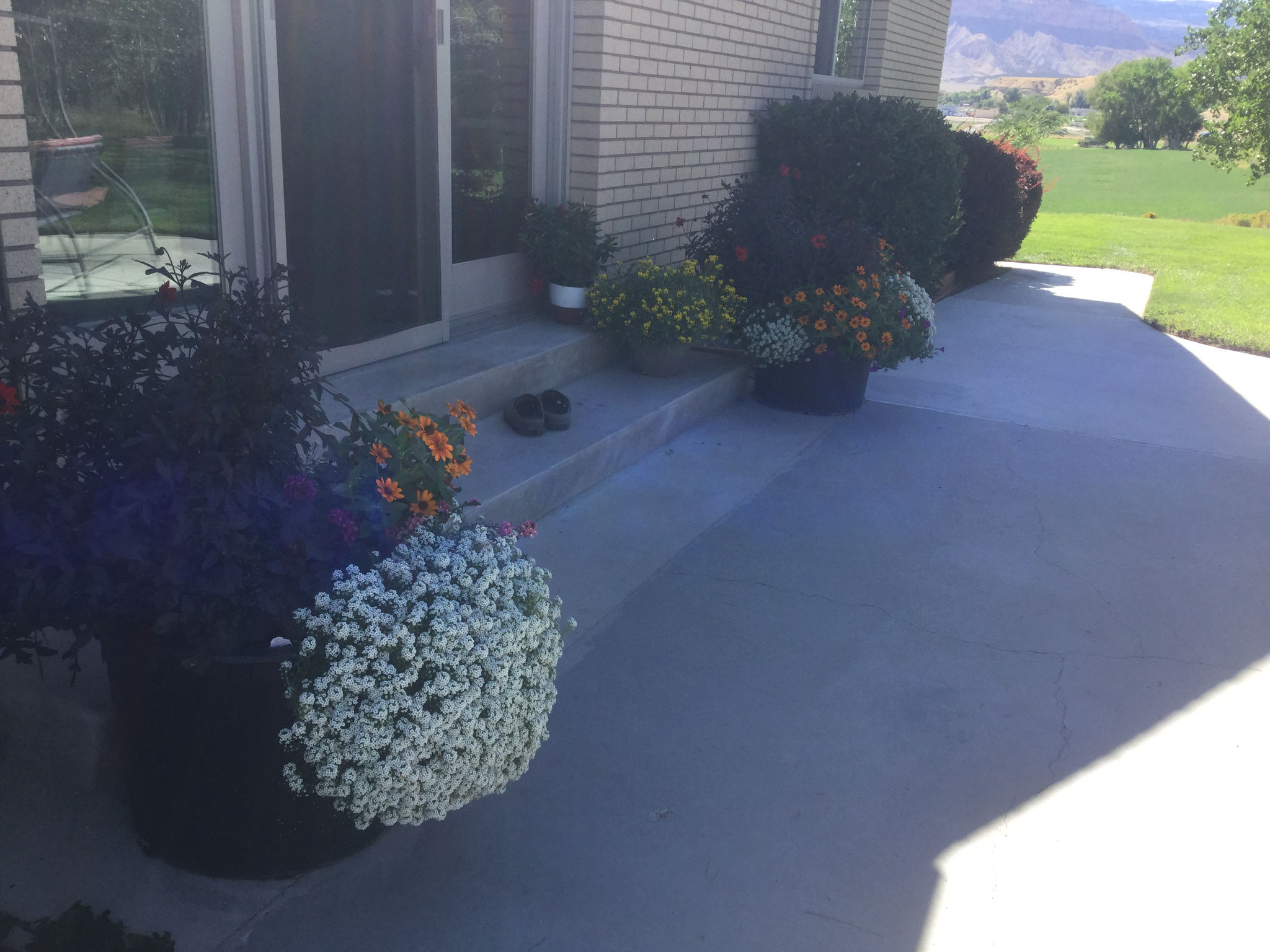 main property photo 71