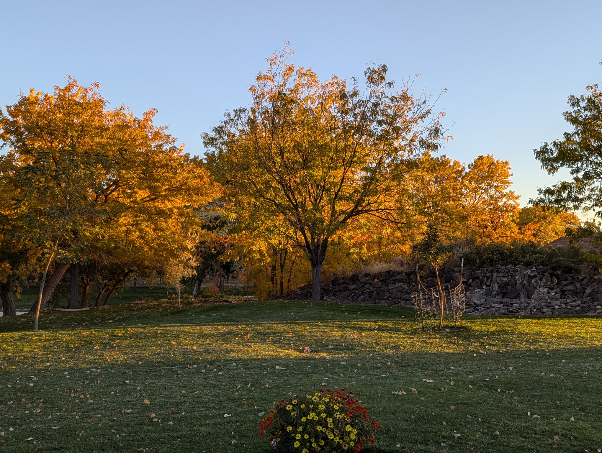 main property photo 72