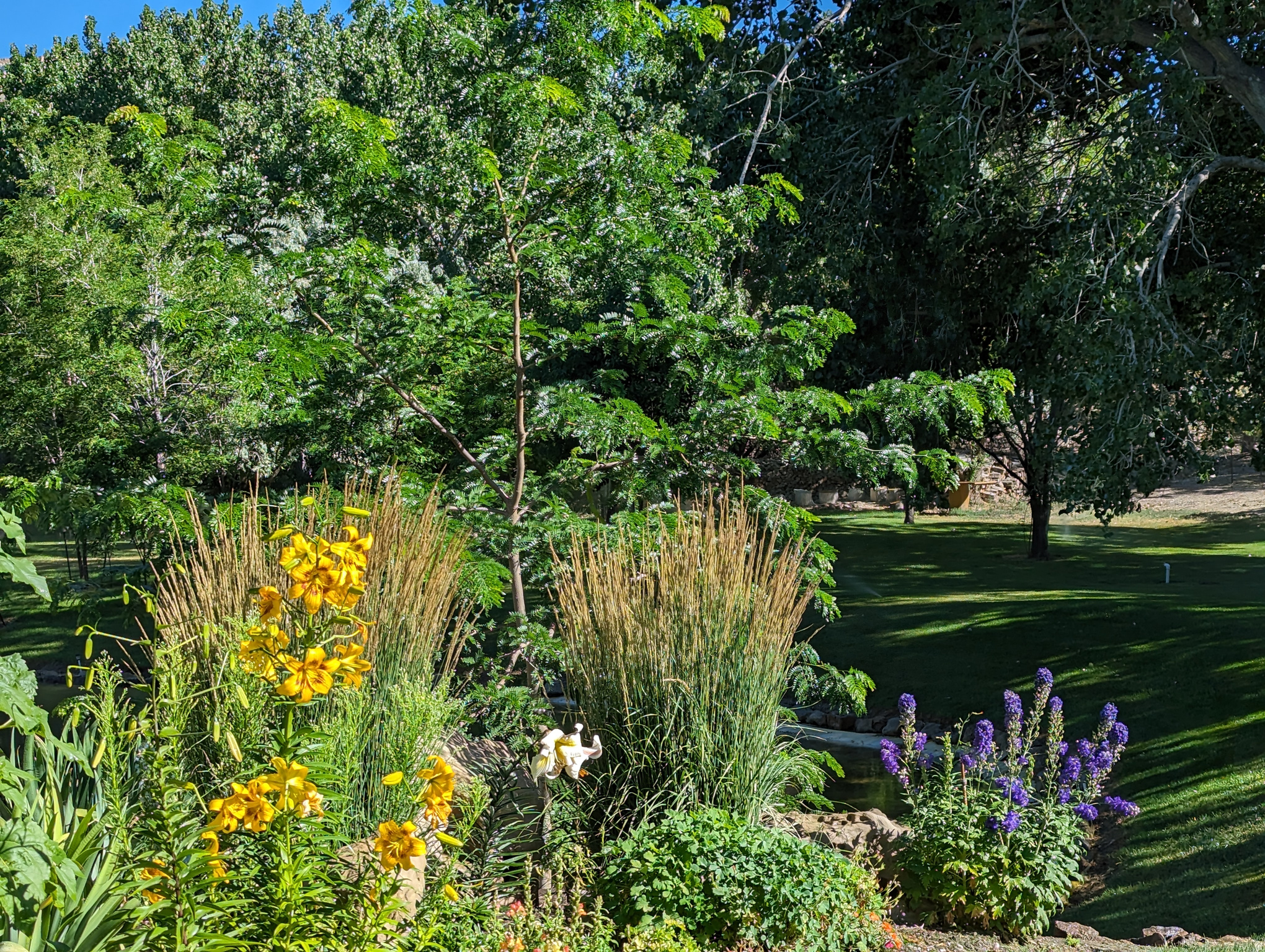 main property photo 90