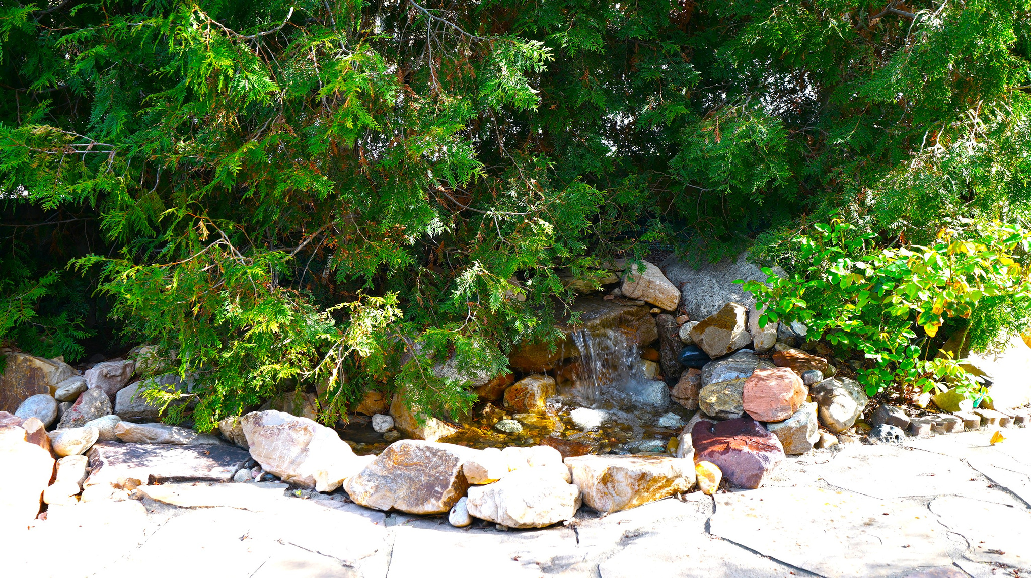 main property photo 51