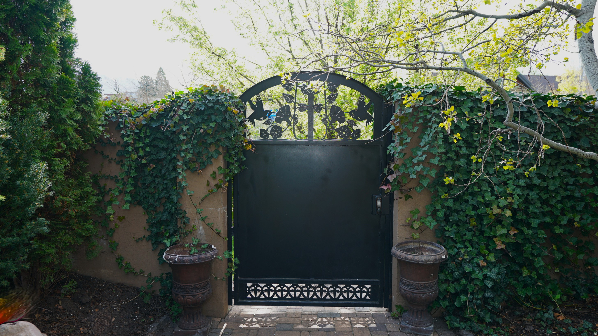 main property photo 55