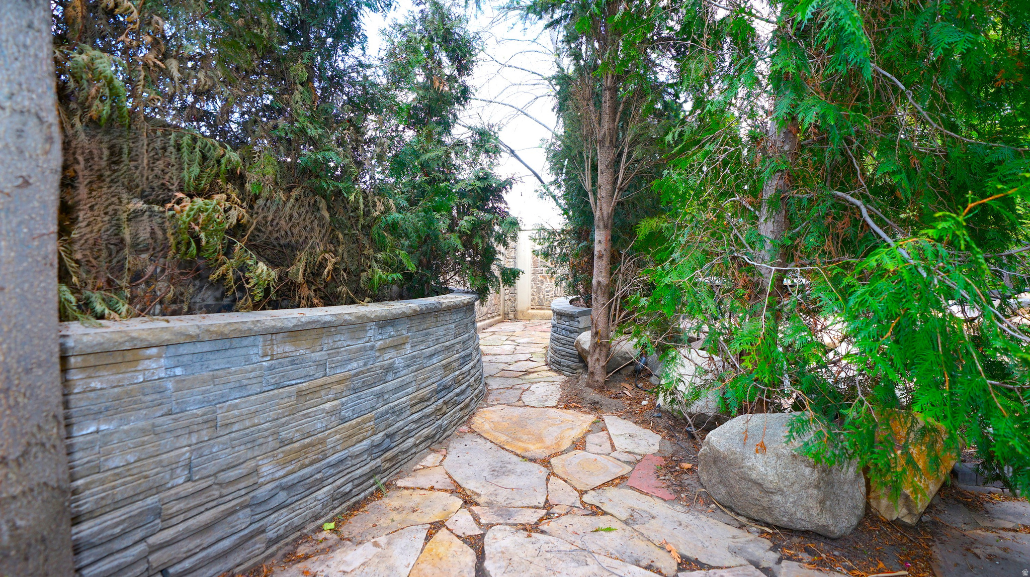 main property photo 61