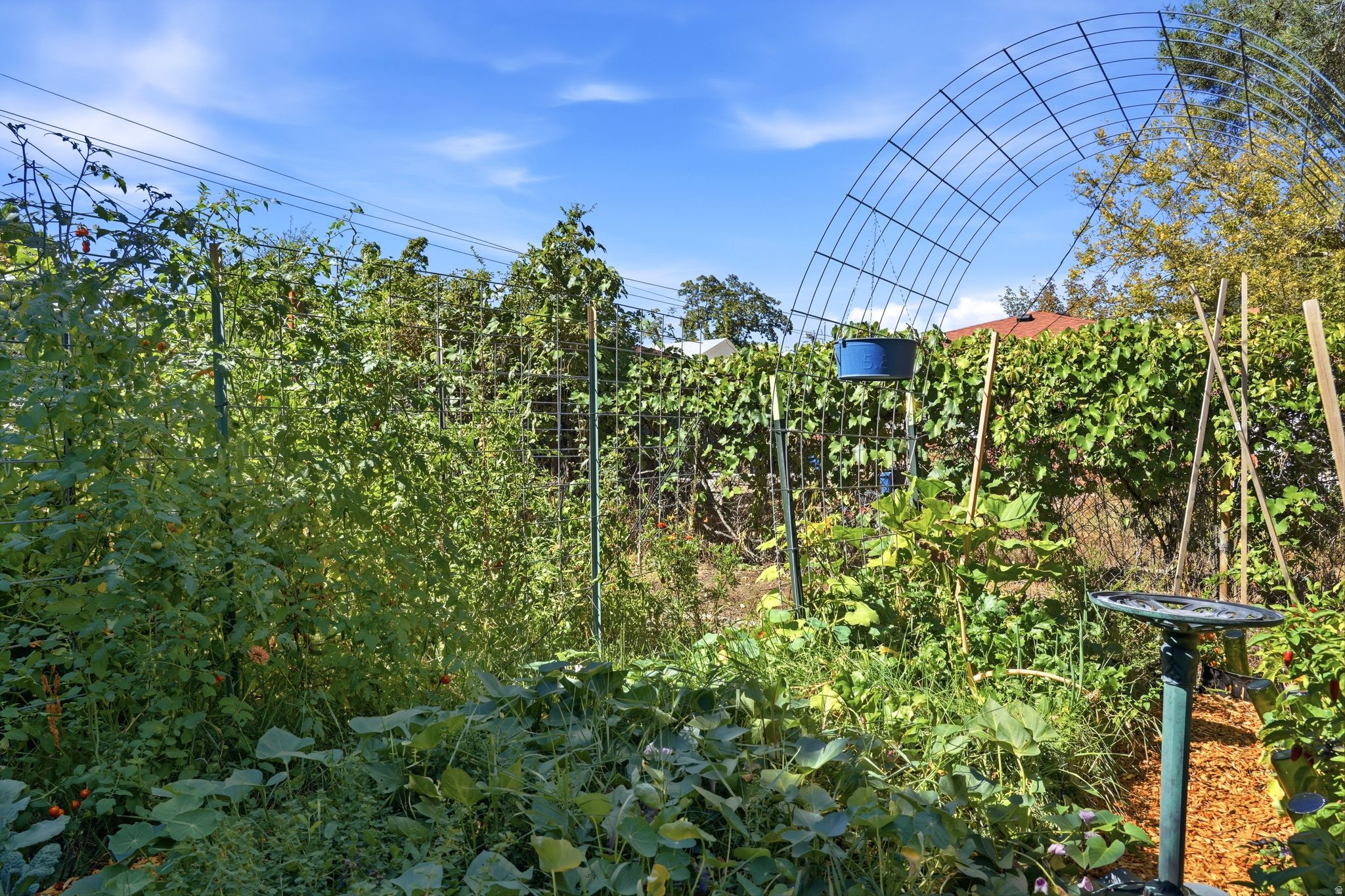 main property photo 26