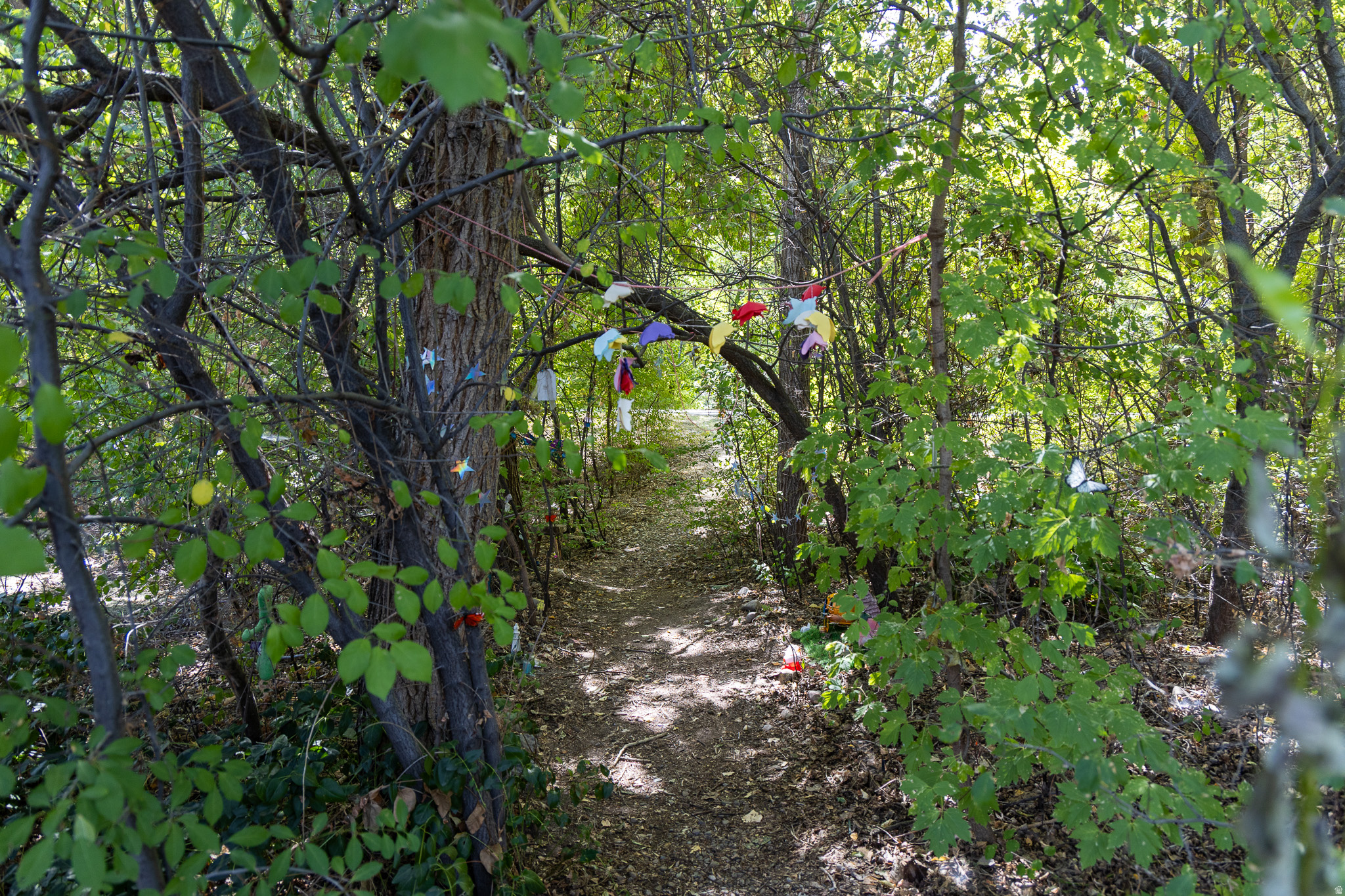 main property photo 37