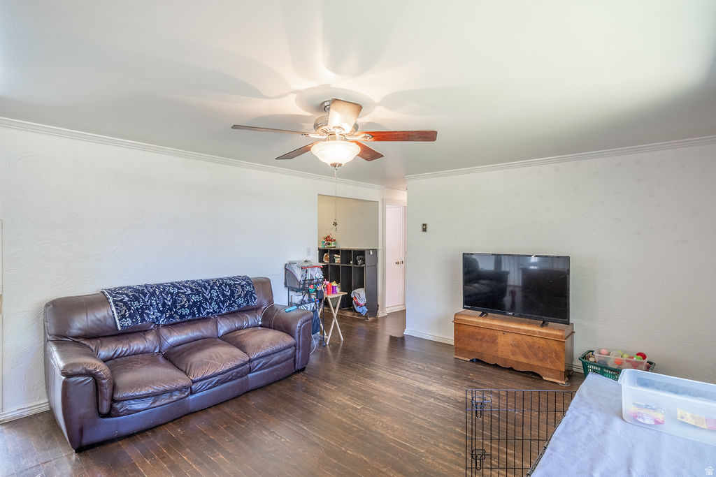 main property photo 5