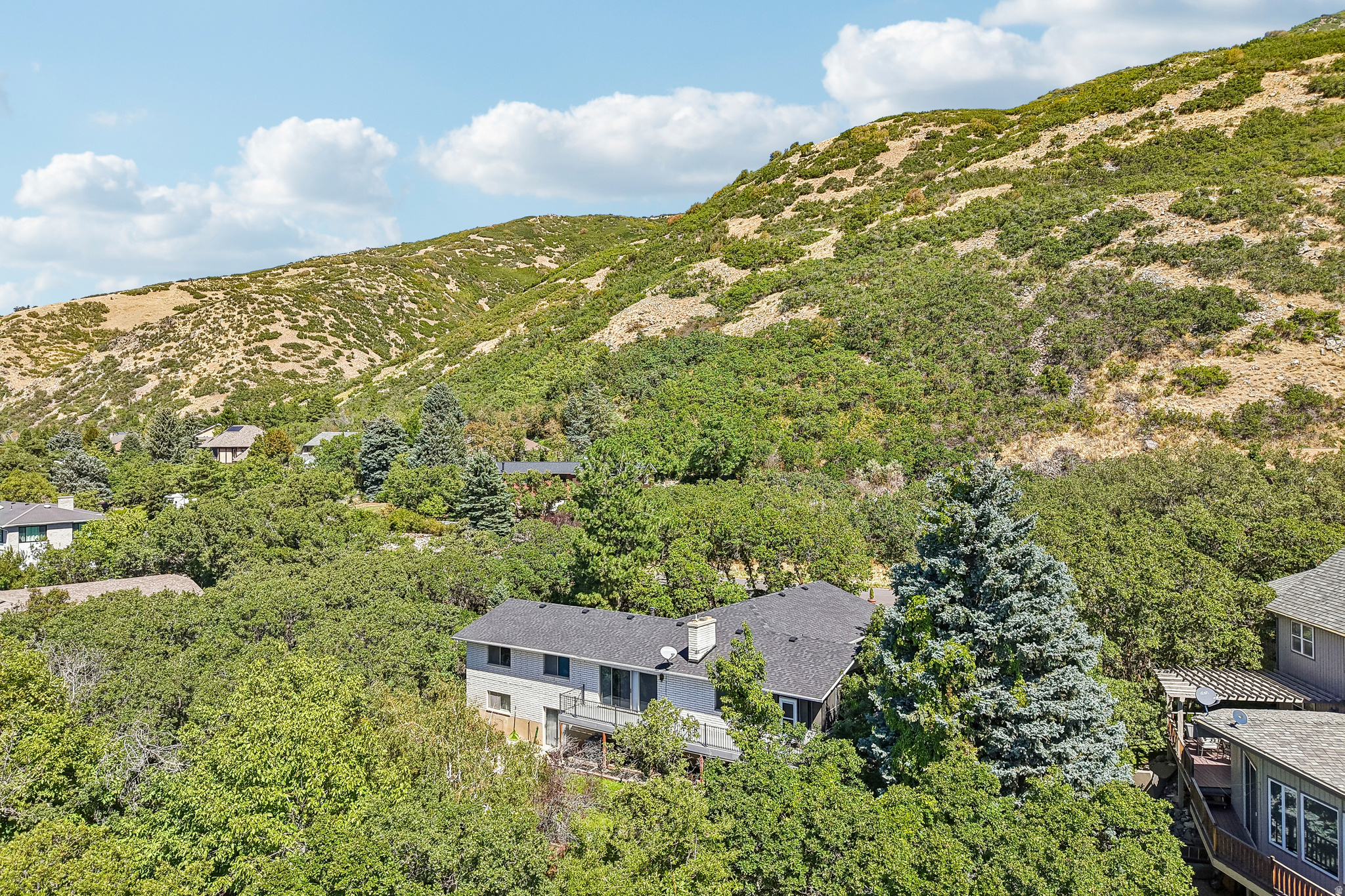 main property photo 41