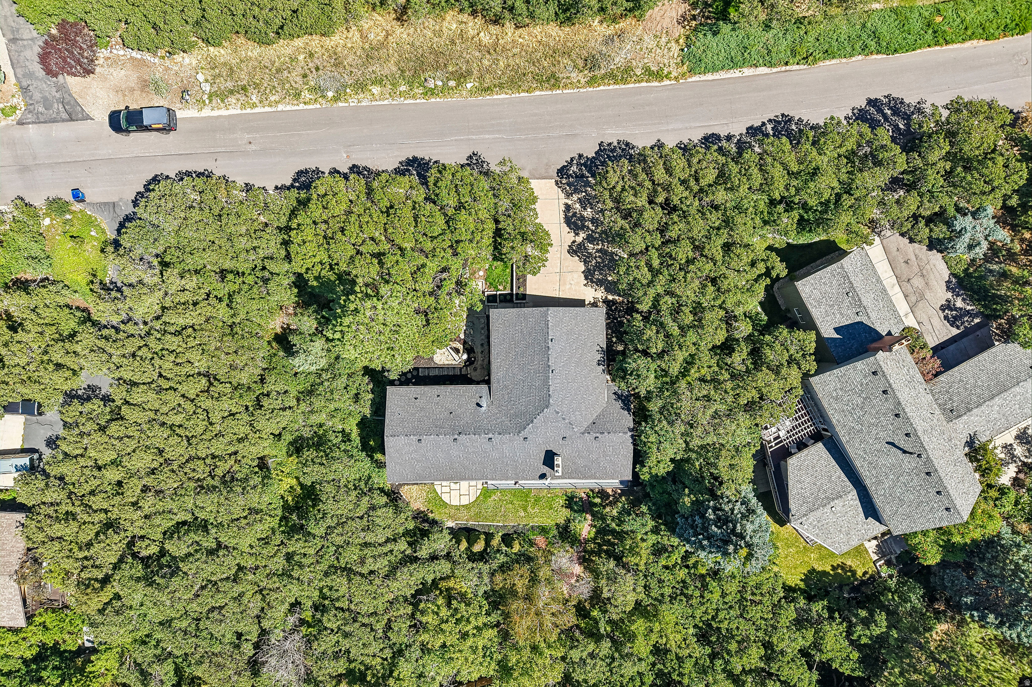 main property photo 42