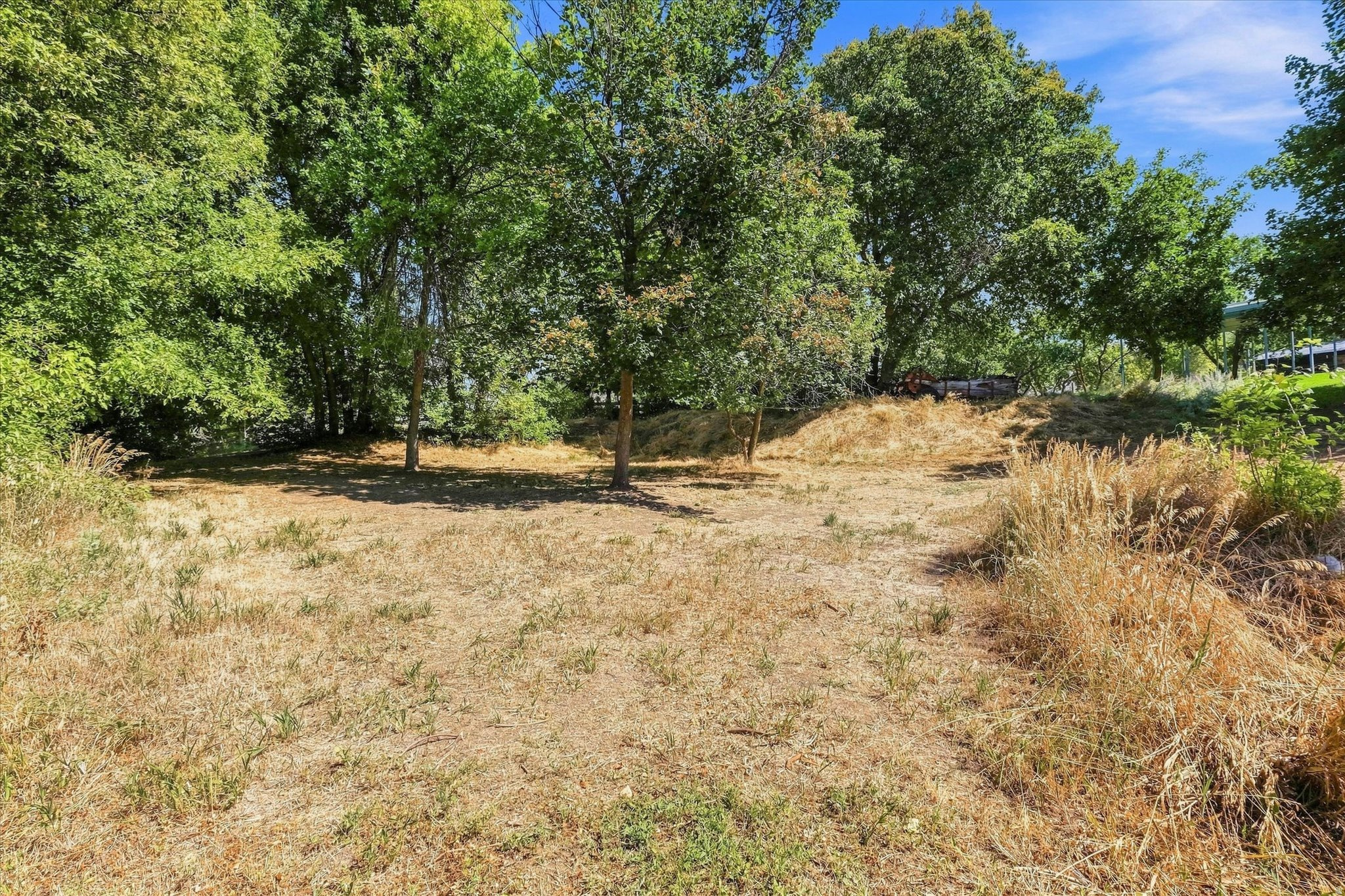 main property photo 54