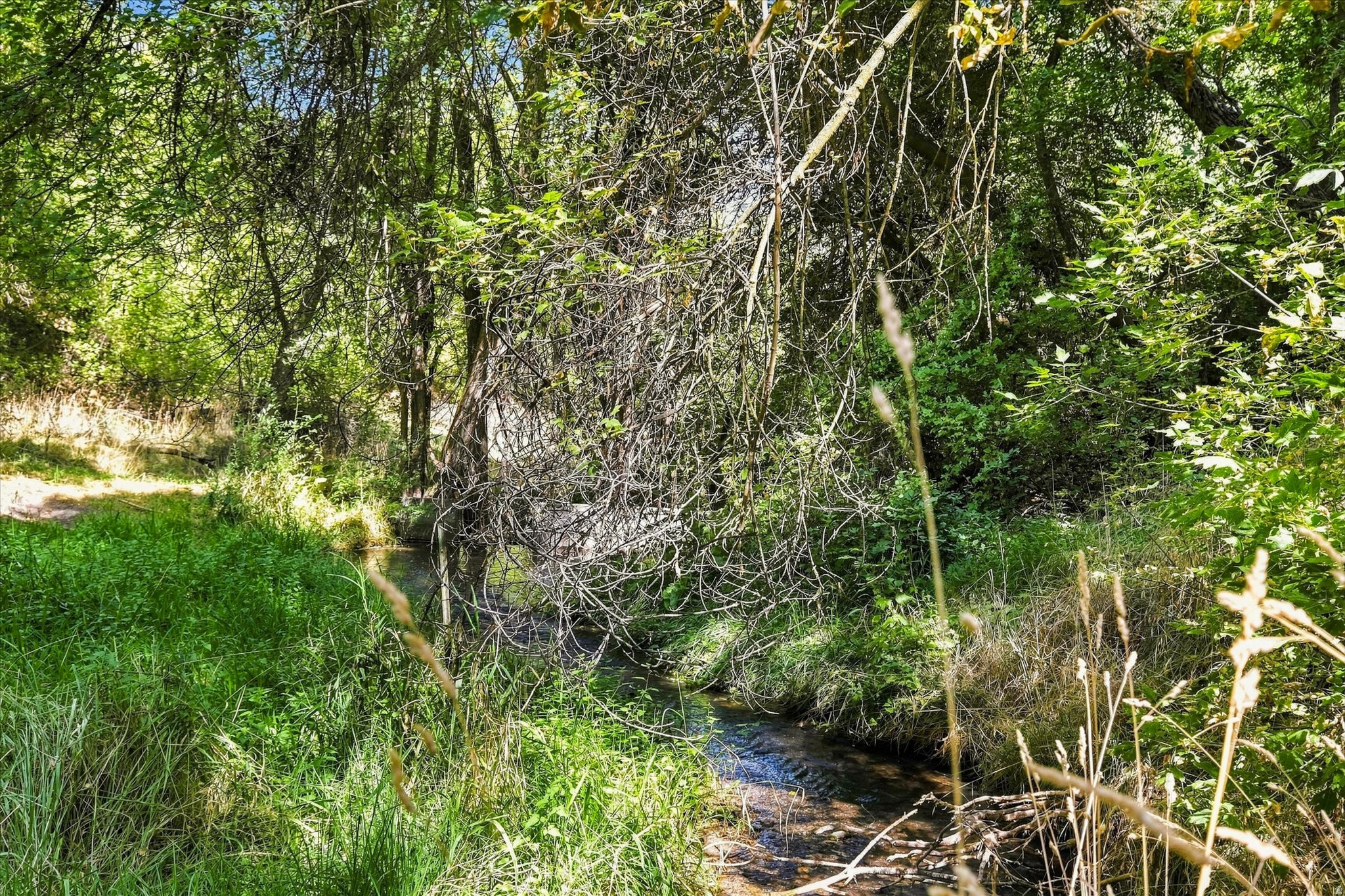main property photo 60