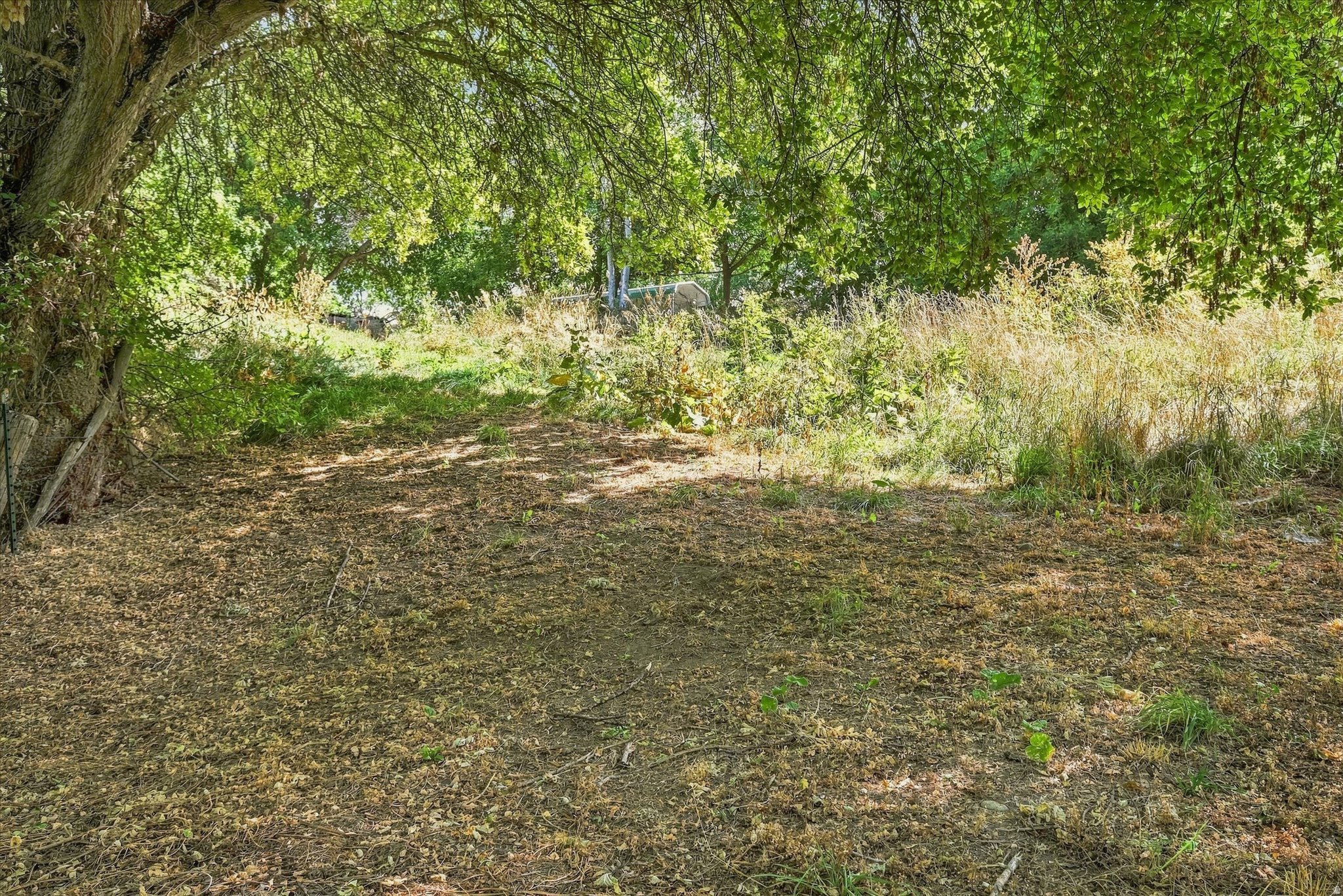 main property photo 61