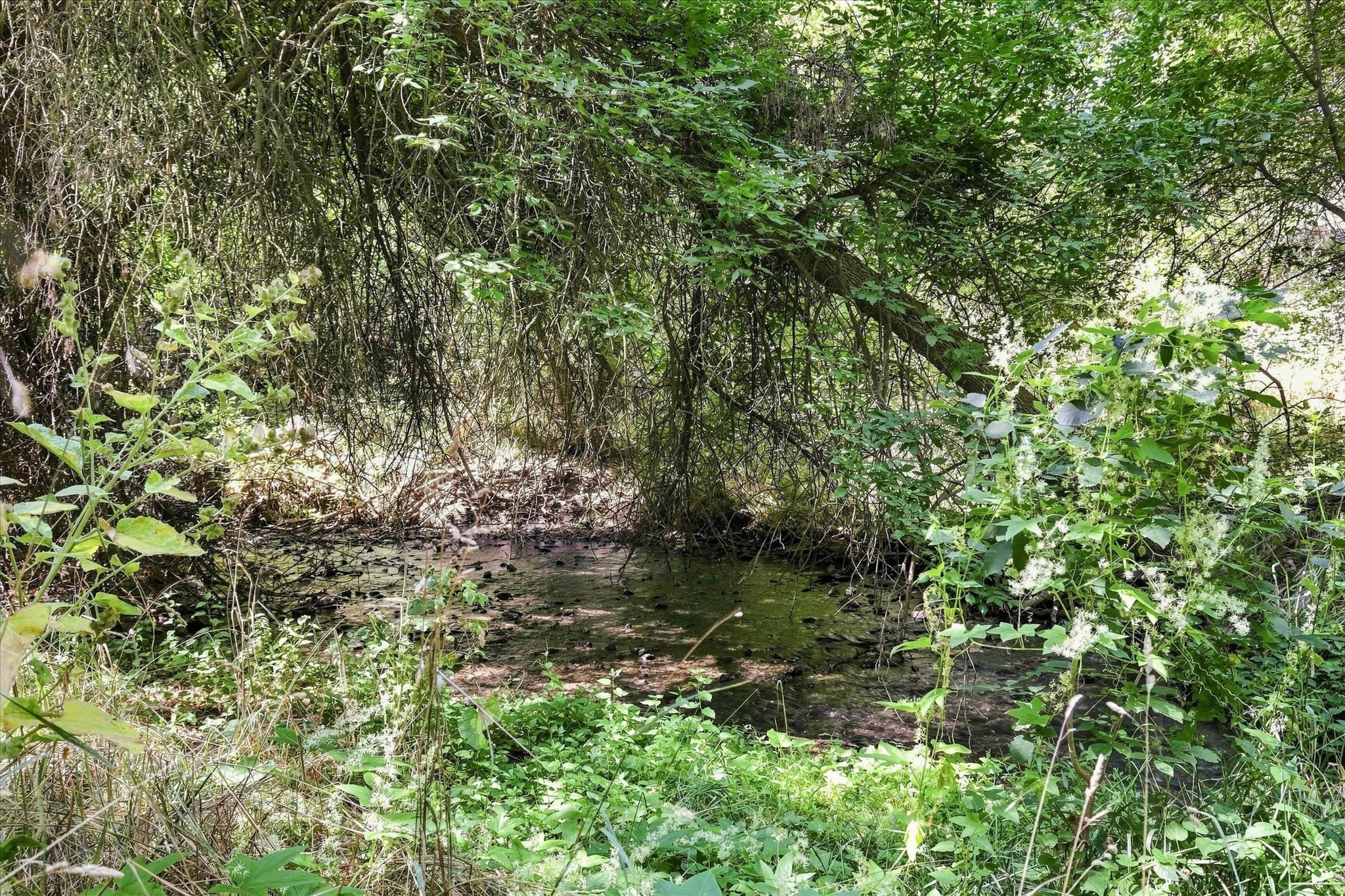 main property photo 76