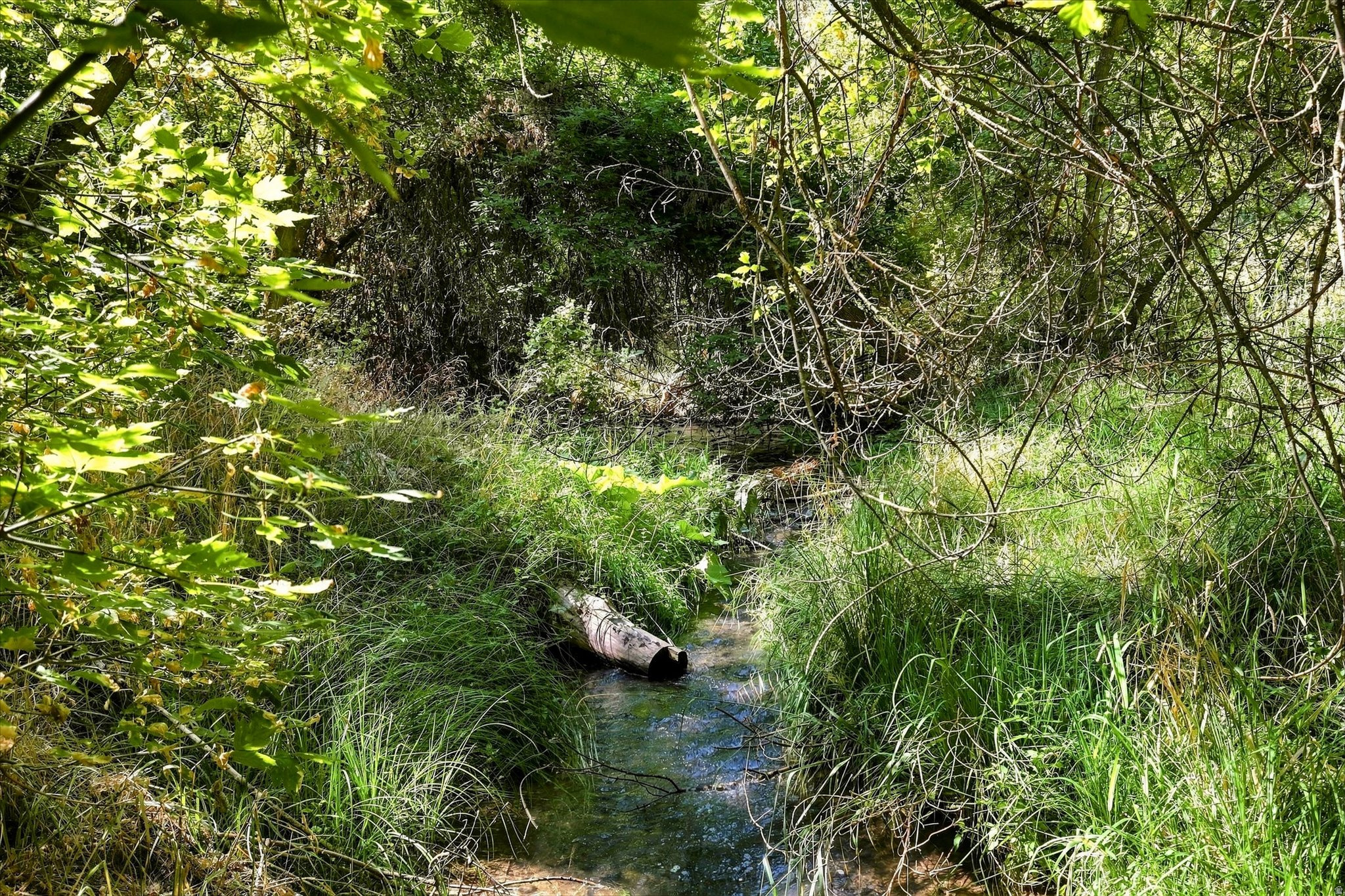 main property photo 78