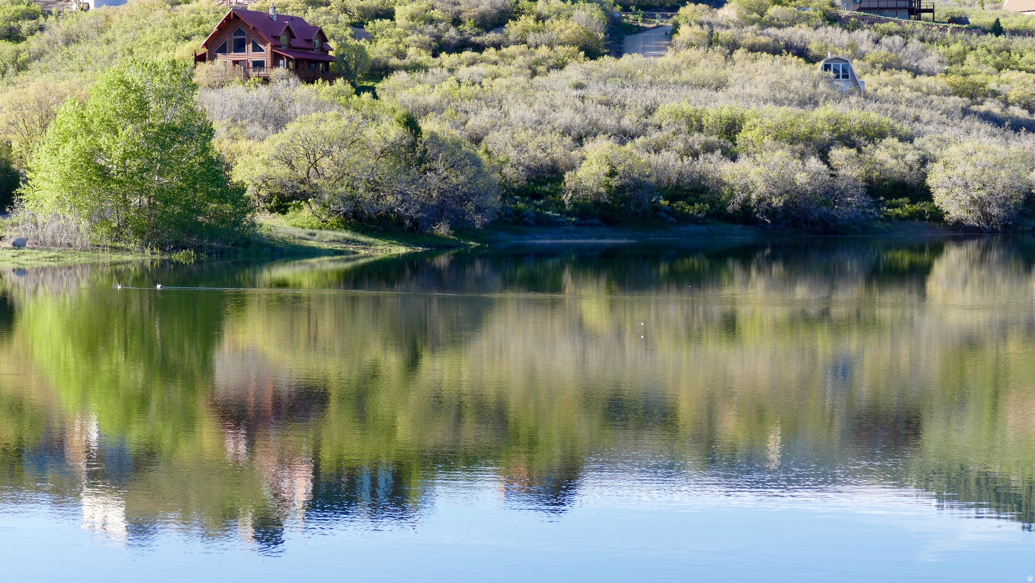 main property photo 47