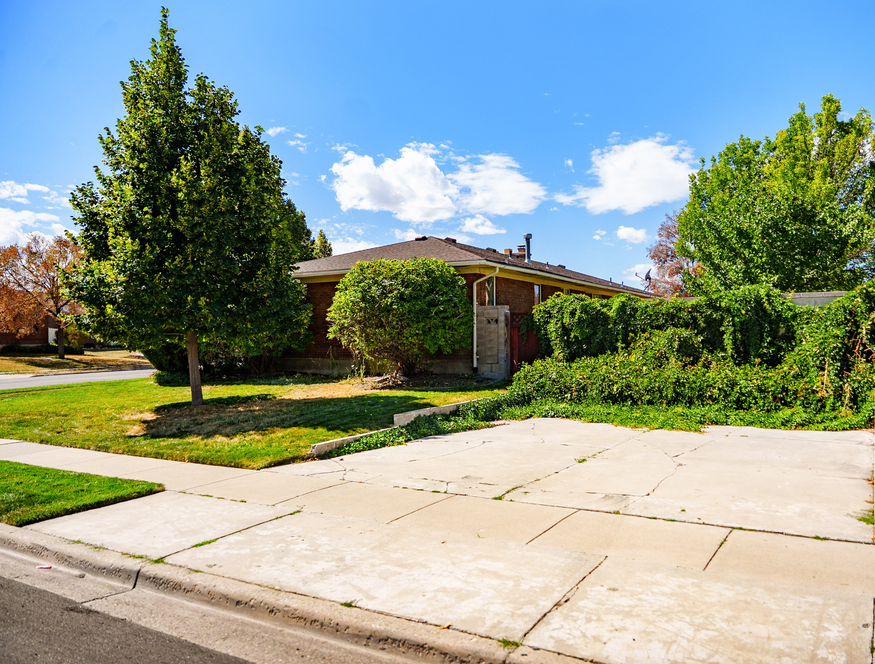 main property photo 48