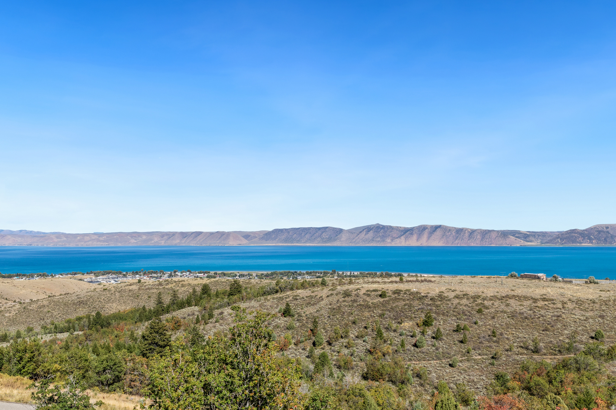 main property photo 49