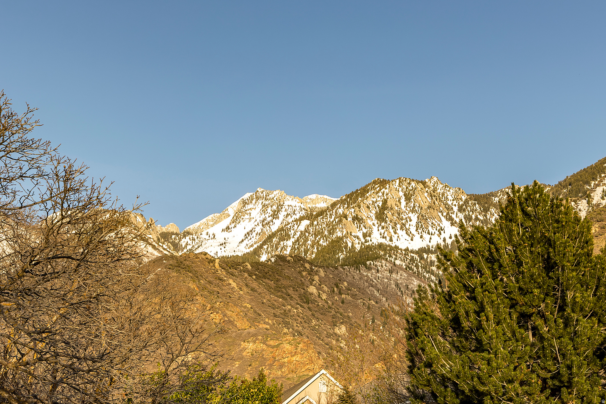 main property photo 48