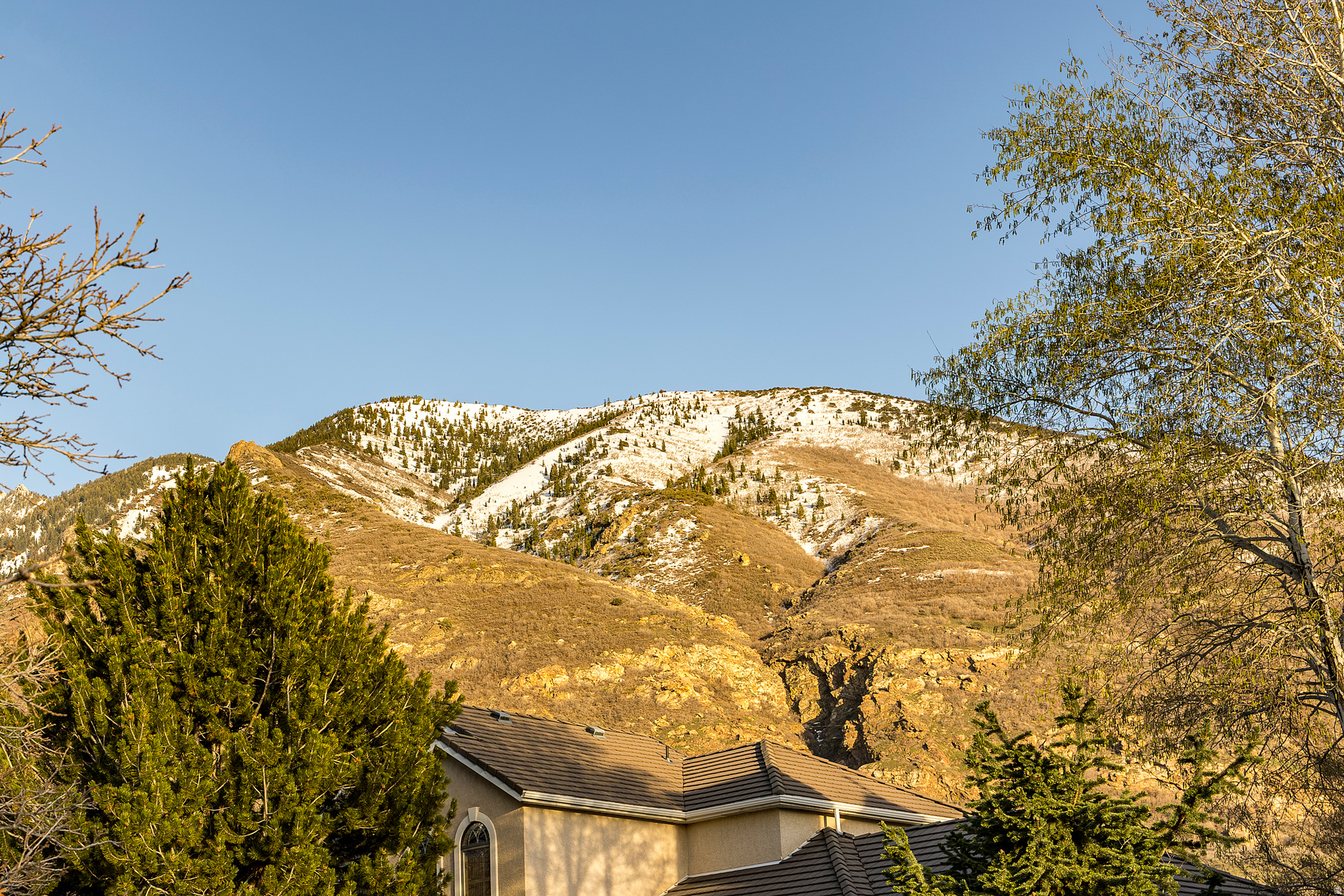main property photo 49