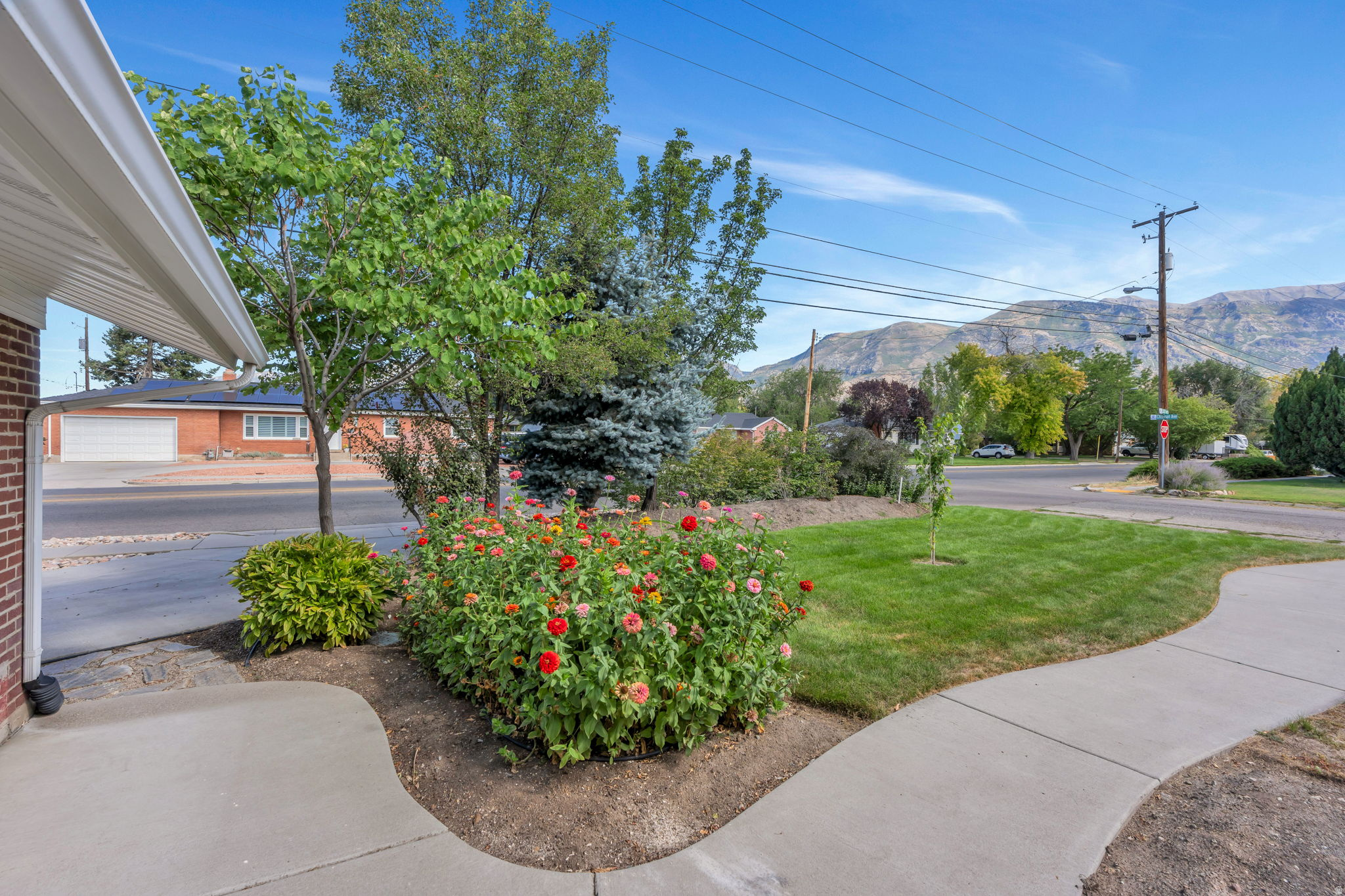 main property photo 39