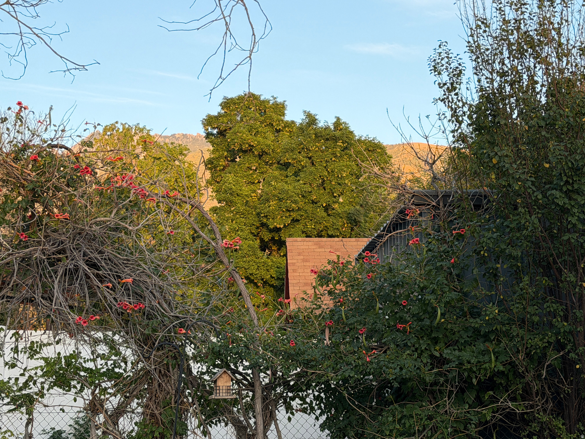 main property photo 56